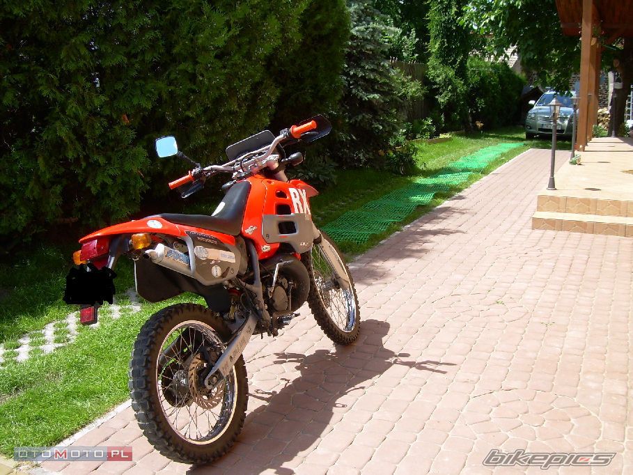 1999 APRILIA RX 50 | Picture 1379620 motorcycle photo