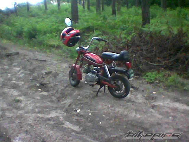 1980 ROMET PONY 50 | Picture 1379643 motorcycle photo