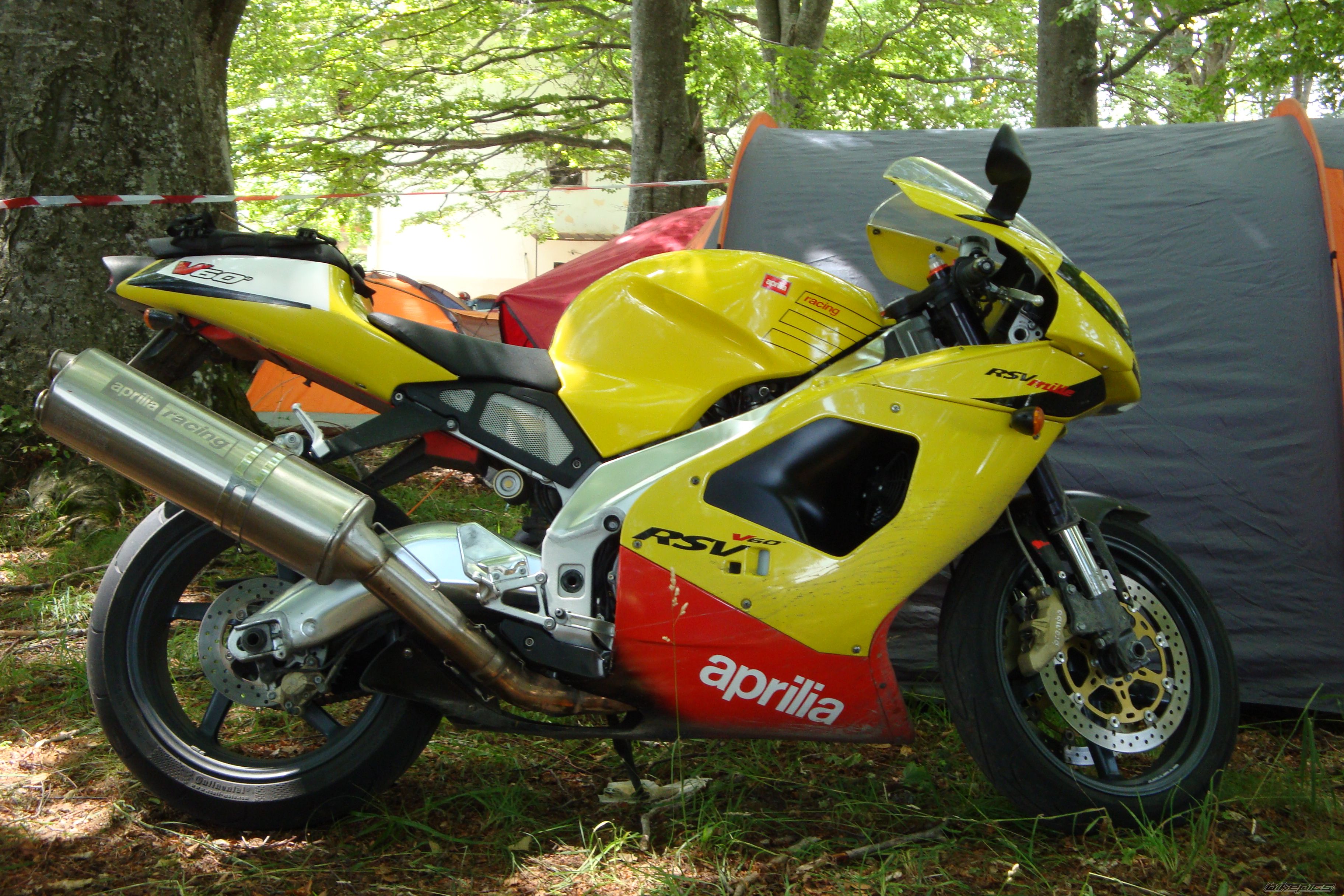 2001 APRILIA RSV 1000 MILLE | Picture 1380725 motorcycle photo