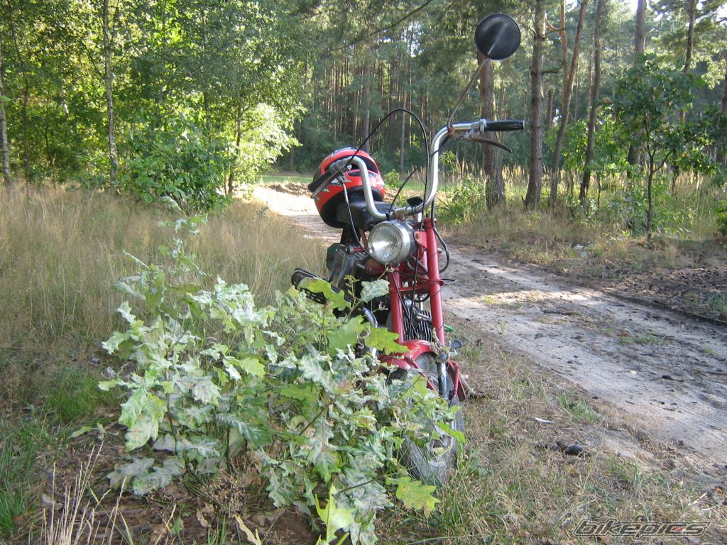 1980 ROMET PONY 50 | Picture 1380873 motorcycle photo