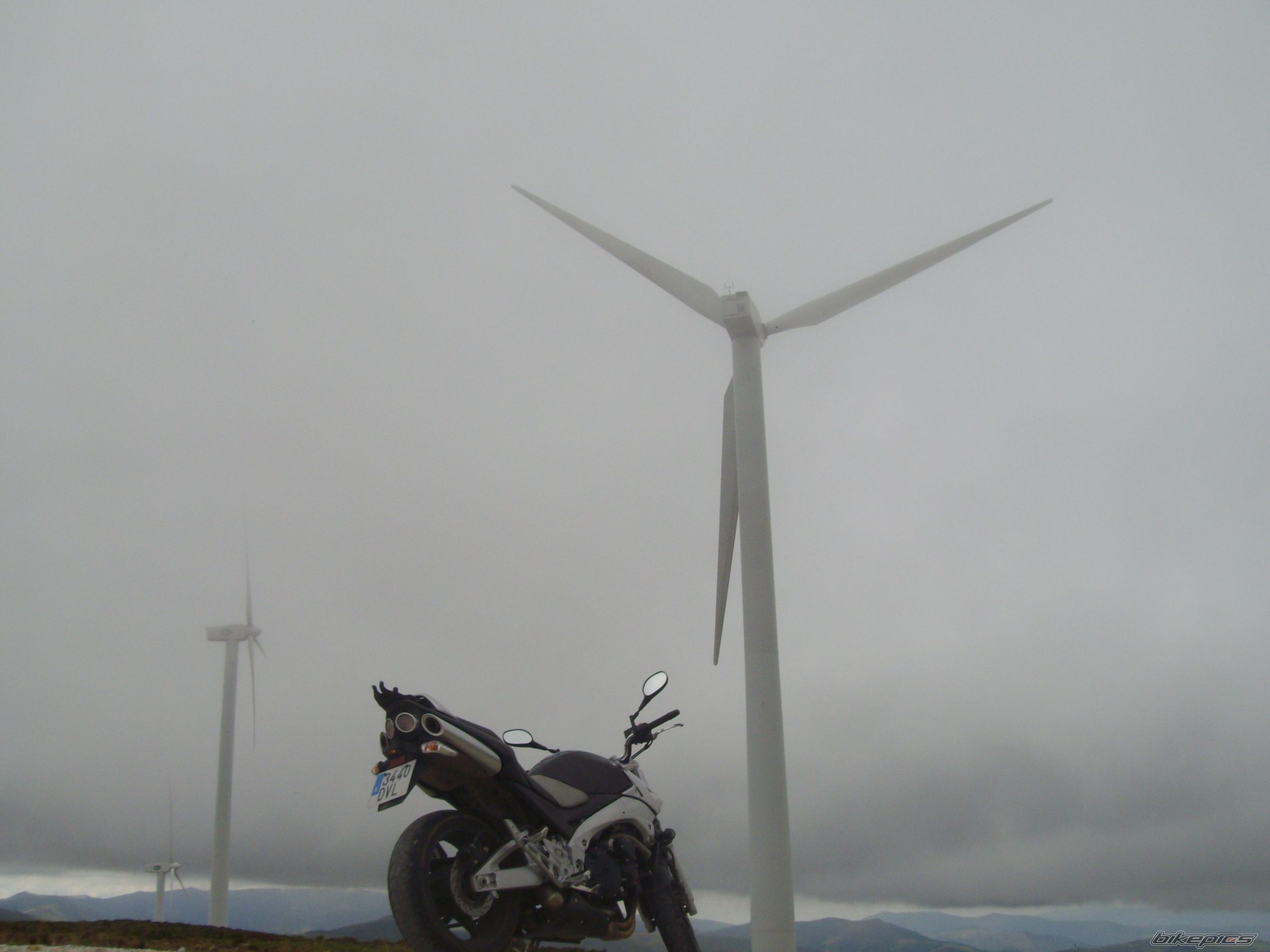 2003 DUCATI 1000 DS | Picture 1381082 motorcycle photo