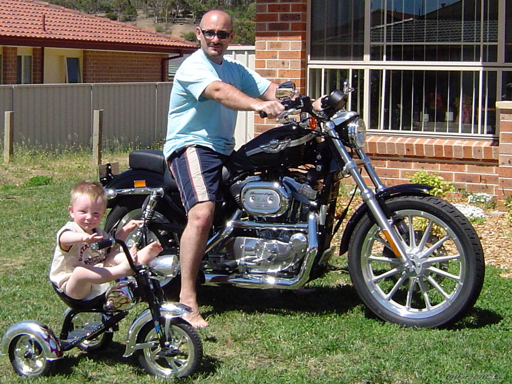 2003 HARLEY DAVIDSON XLH 883 | Picture 138109 motorcycle photo