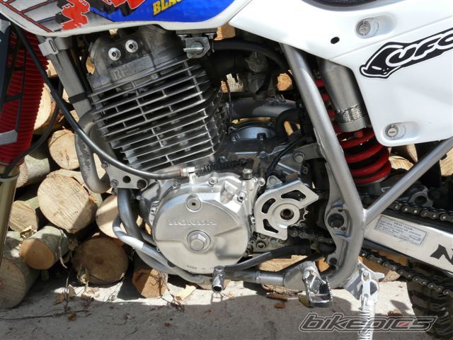1994 HONDA XR 600 | Picture 1381100 motorcycle photo