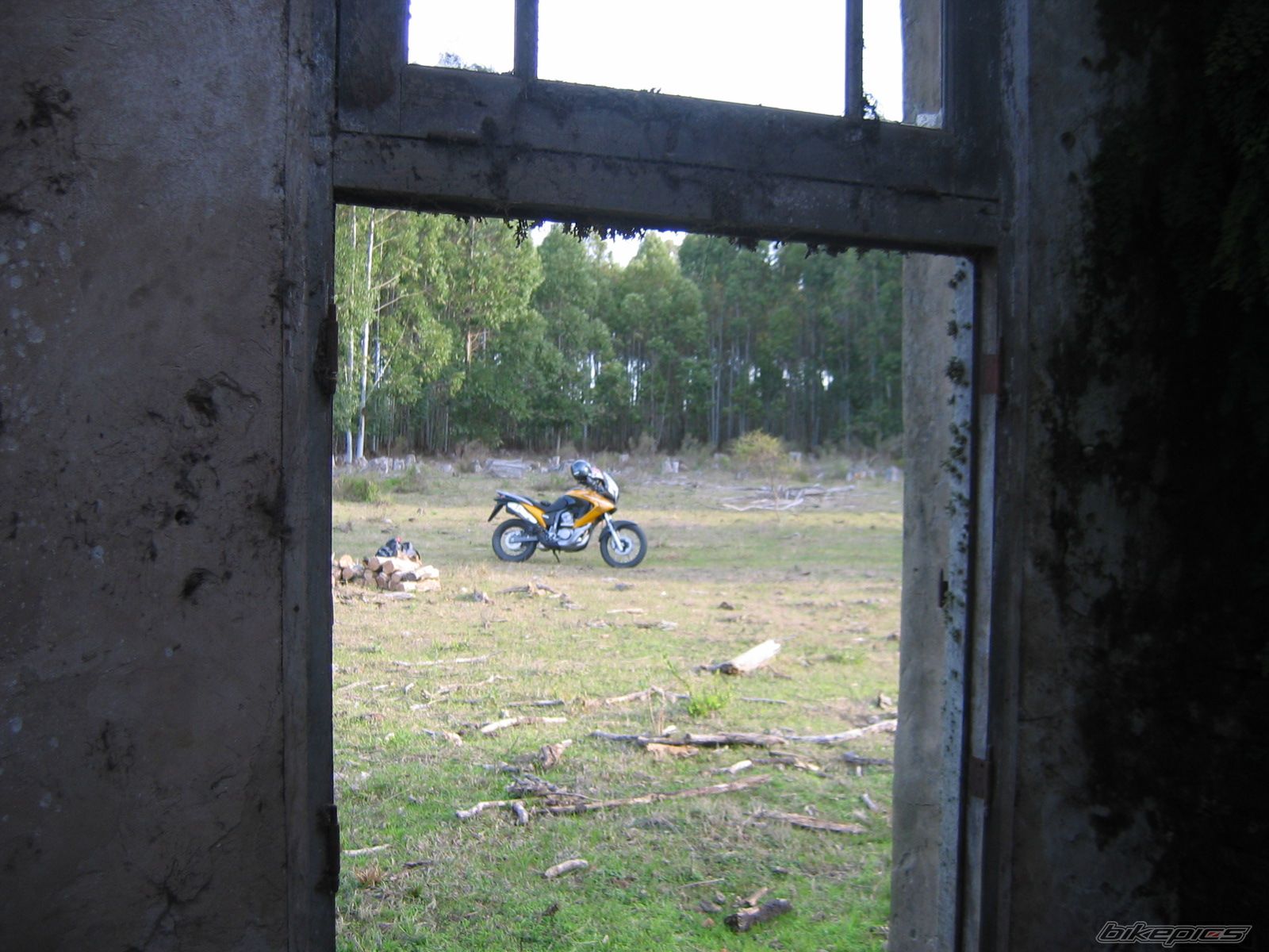 2008 HONDA XL 650V TRANSALP | Picture 1381112 motorcycle photo