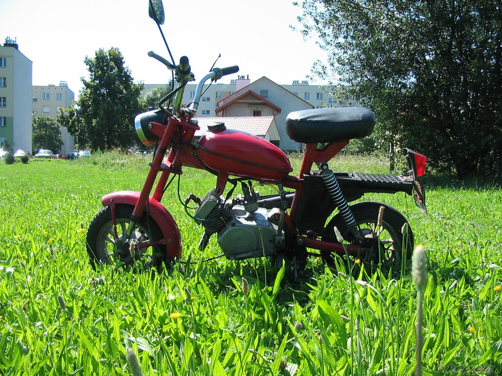 1984 ROMET PONY 50 | Picture 1381469 motorcycle photo