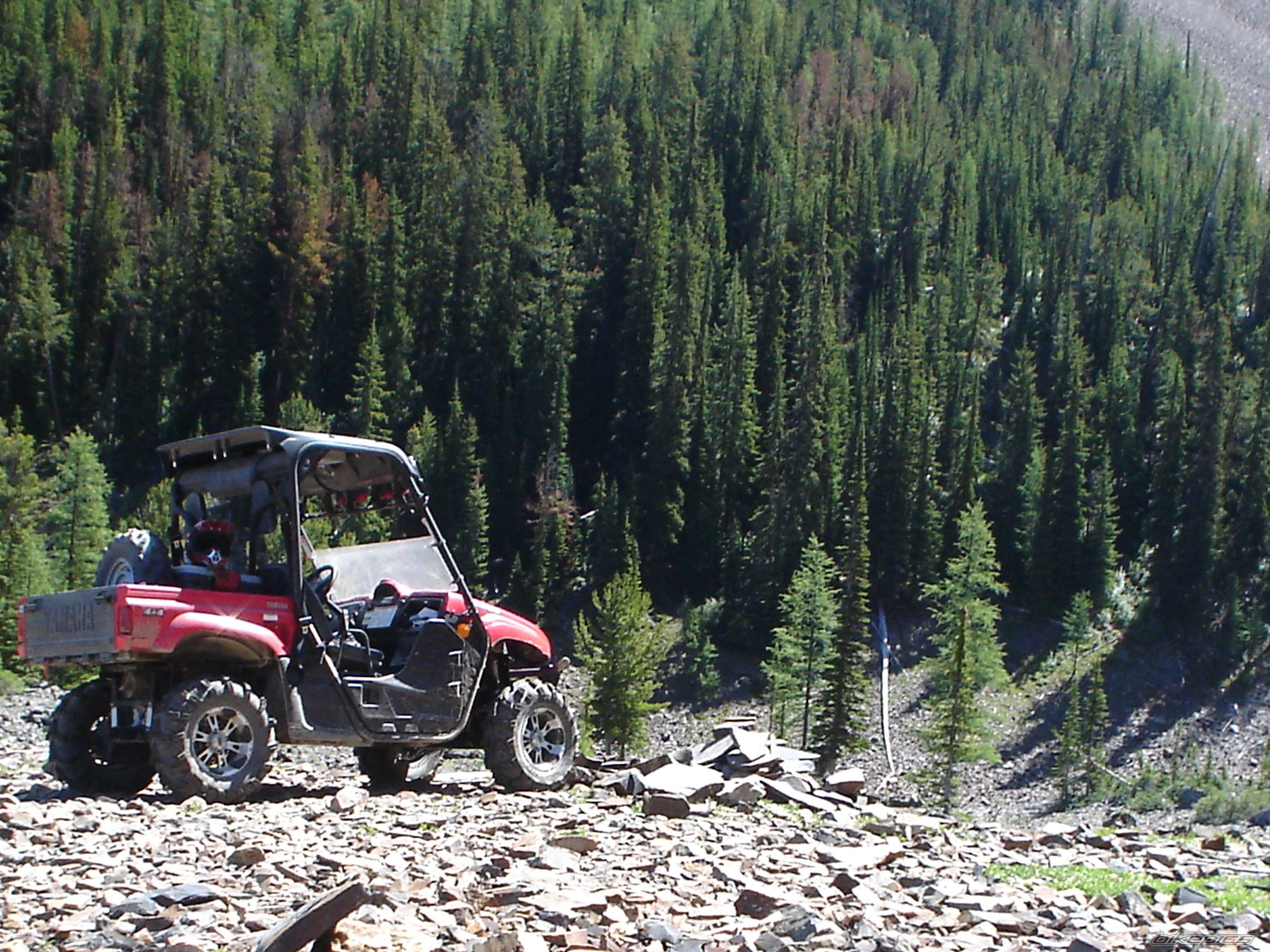 2008 YAMAHA RHINO 660 | Picture 1381659 motorcycle photo