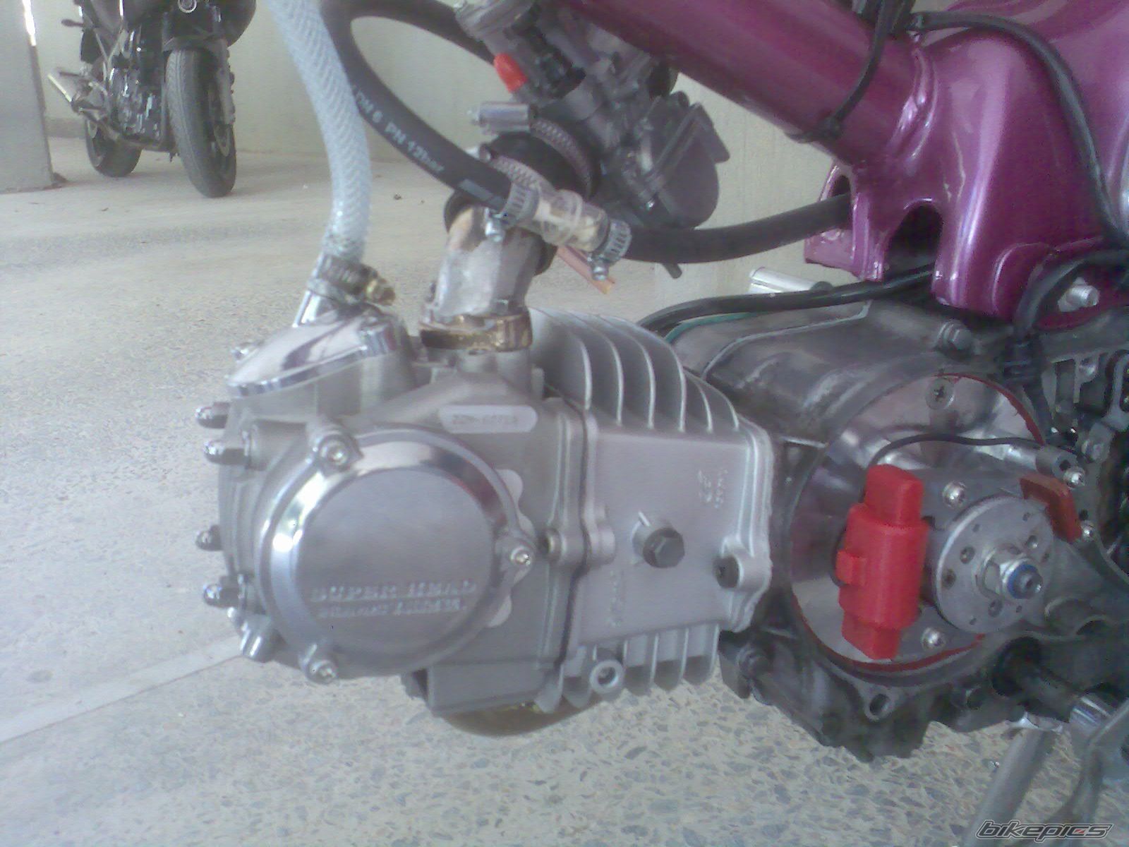 2008 HONDA CUB | Picture 1382176 motorcycle photo