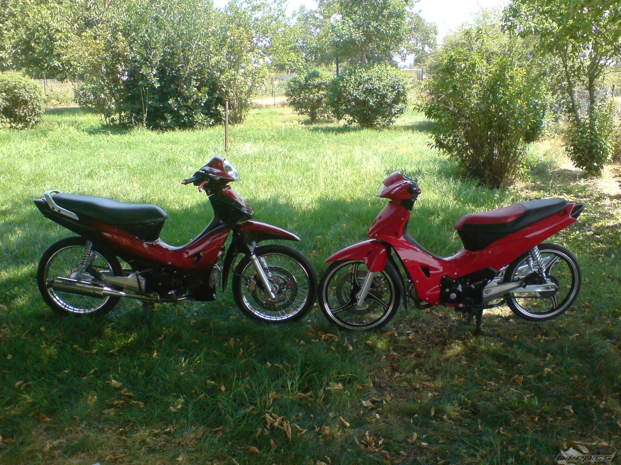 2008 HONDA INNOVA 125 | Picture 1382197 motorcycle photo