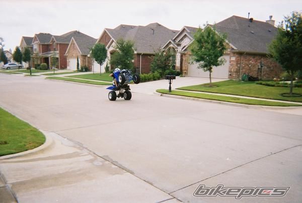 2006 YAMAHA RAPTOR 350 | Picture 1382300 motorcycle photo