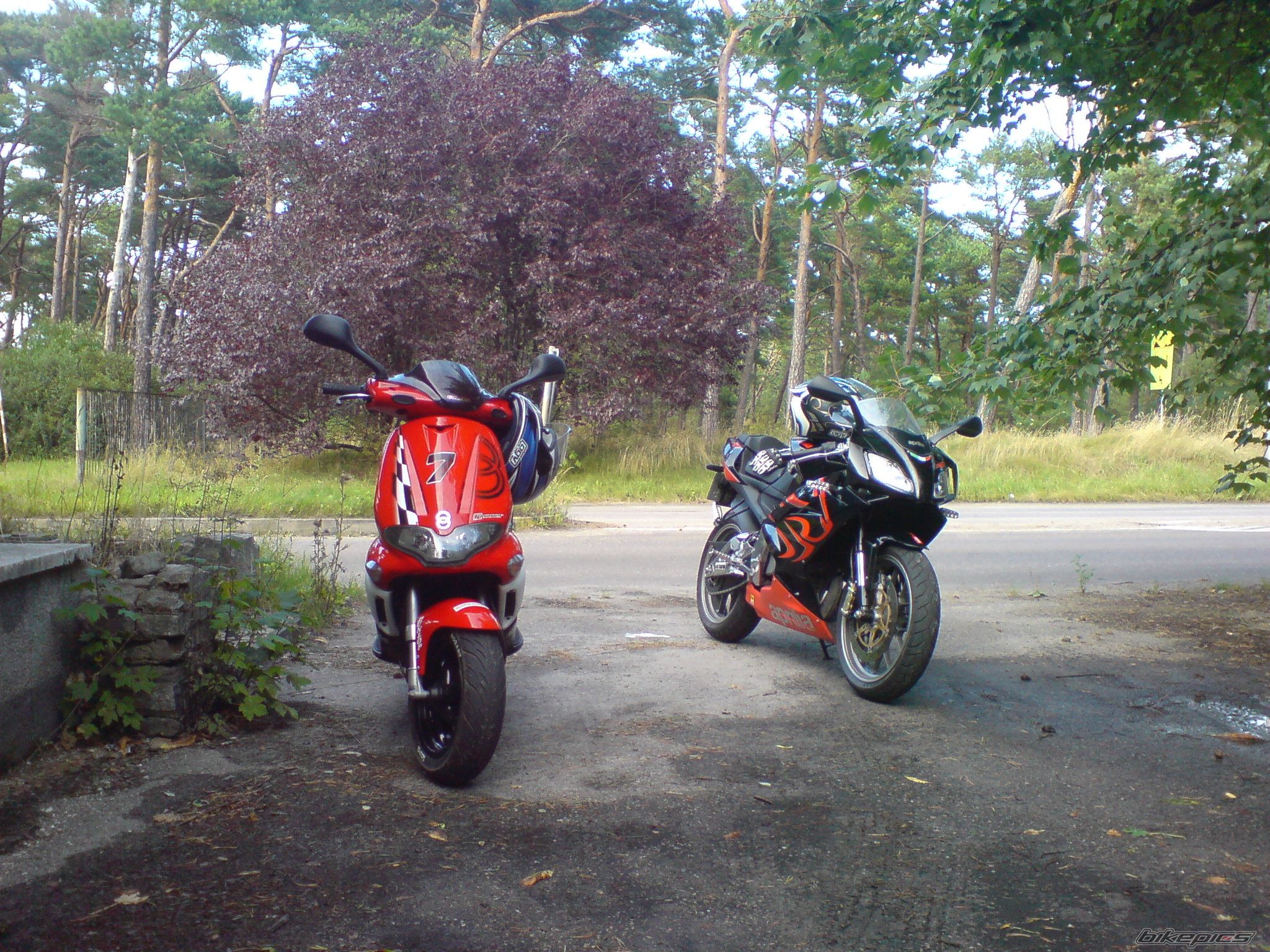2008 APRILIA RS 125 | Picture 1382721 motorcycle photo
