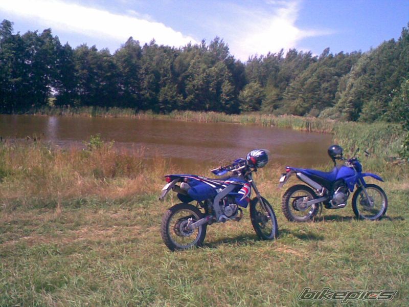2001 RIEJU MRX 50 | Picture 1382723 motorcycle photo