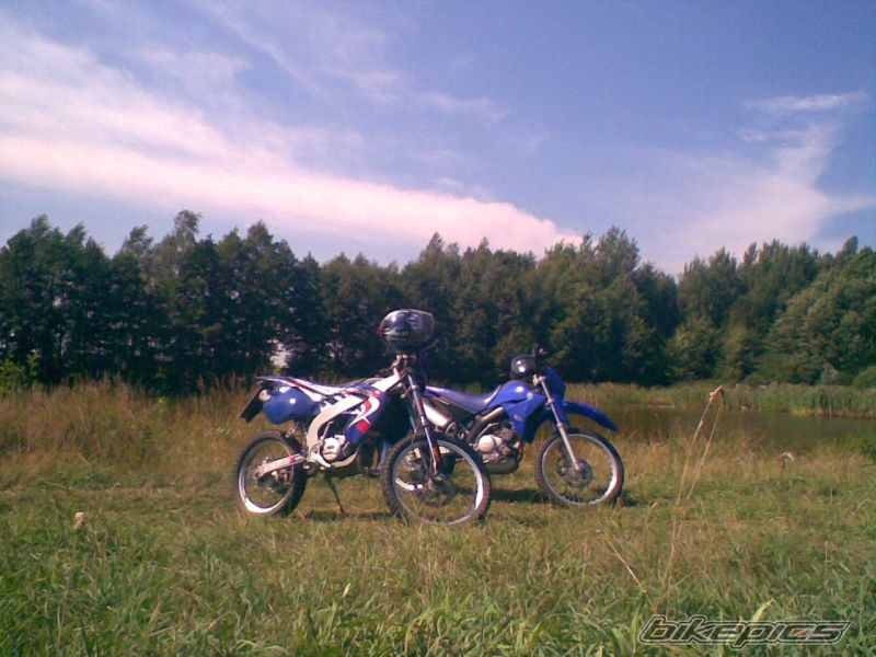 2001 RIEJU MRX 50 | Picture 1382724 motorcycle photo