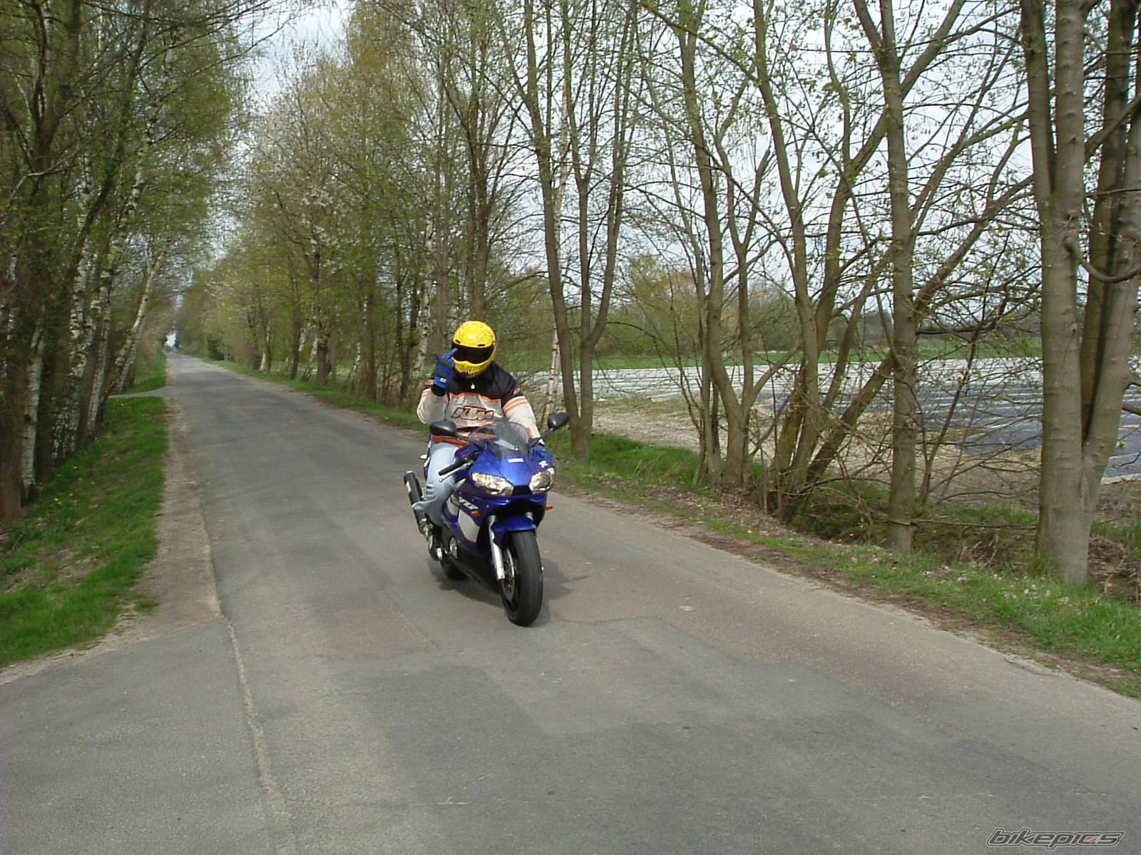 2001 YAMAHA YZF R6 | Picture 138291 motorcycle photo