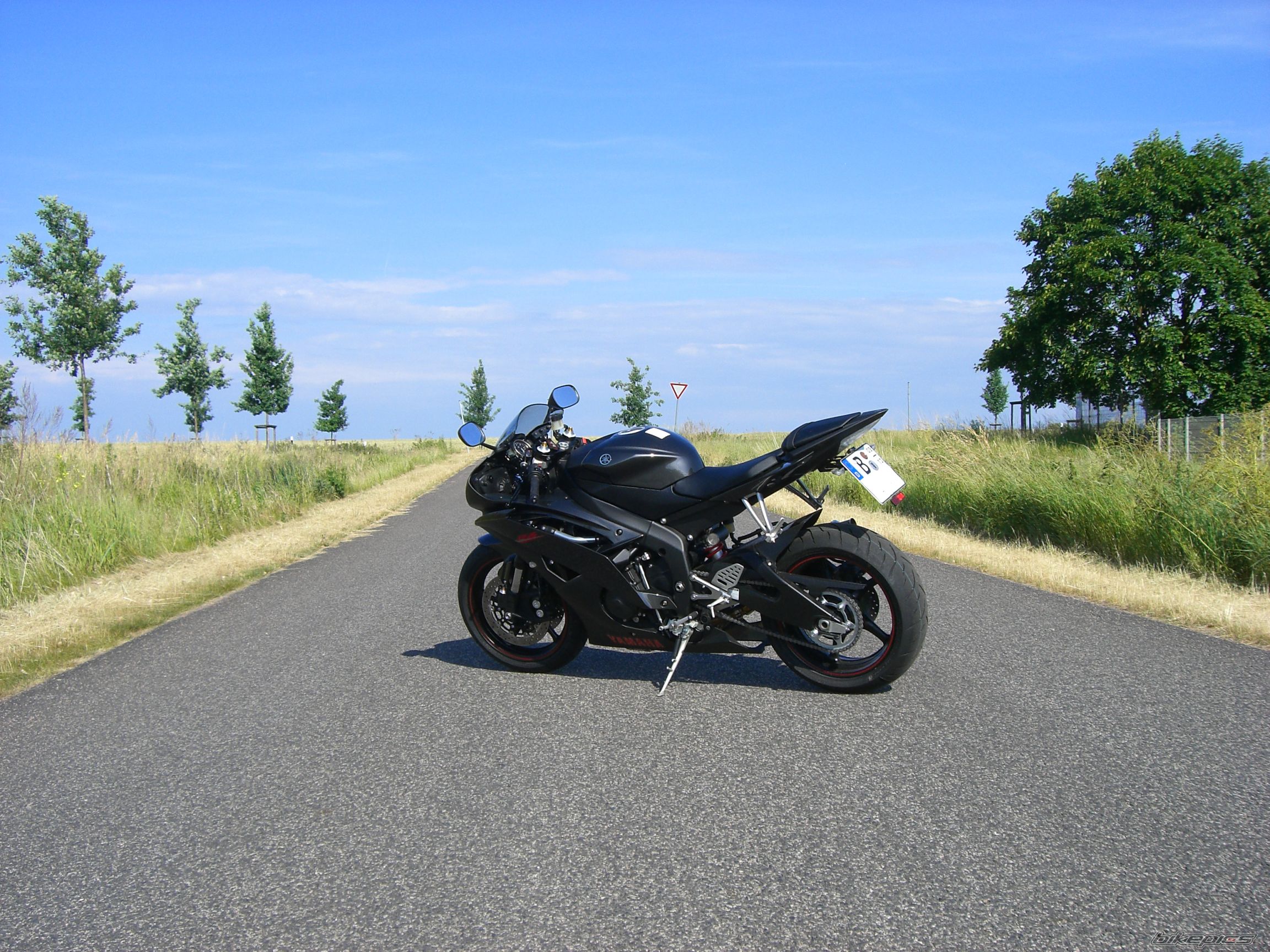 2008 YAMAHA YZF R6 | Picture 1383008 motorcycle photo