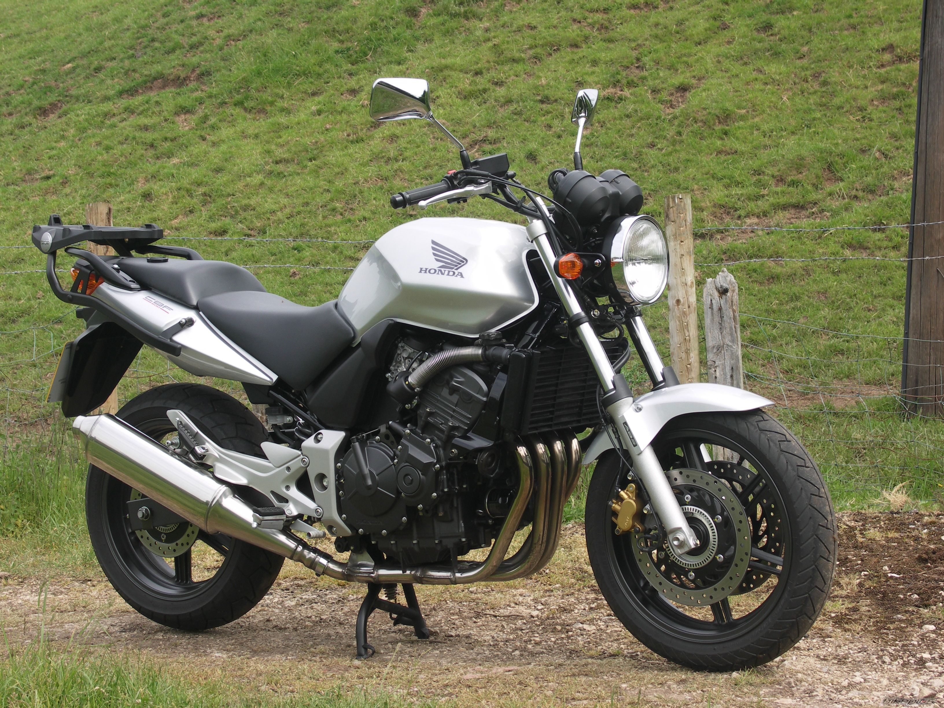 2006 HONDA CBF 600 | Picture 1383125 motorcycle photo