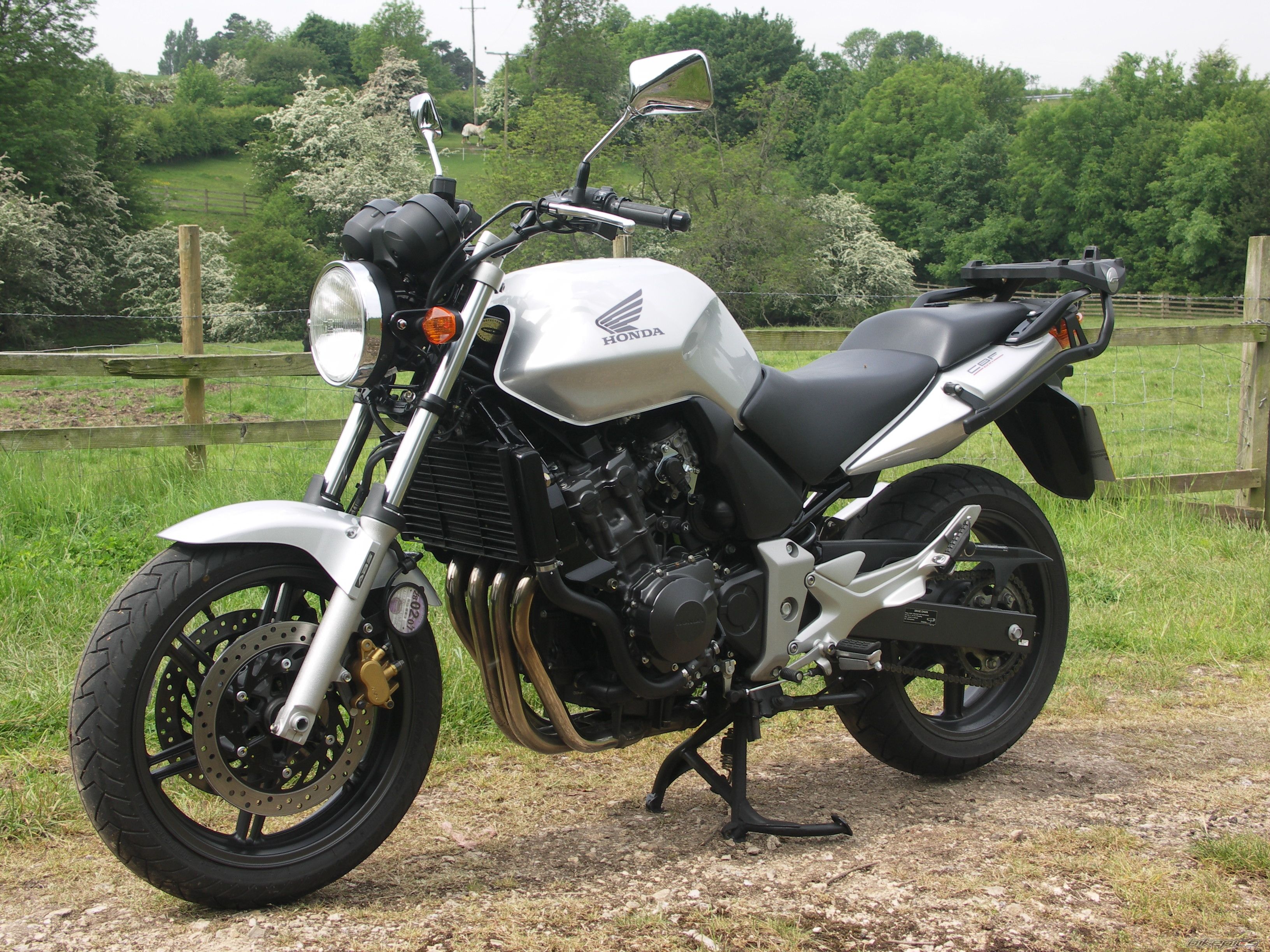 2006 HONDA CBF 600 | Picture 1383129 motorcycle photo