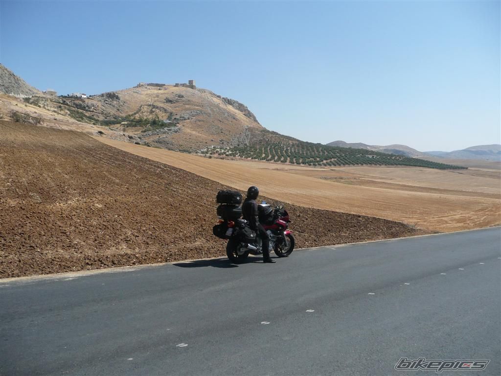 1999 YAMAHA TDM 850 | Picture 1383720 motorcycle photo