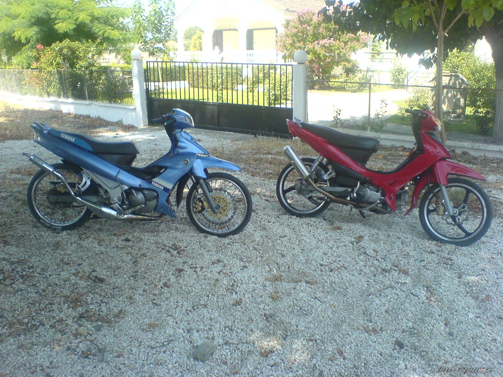 2008 YAMAHA CRYPTON R 115 | Picture 1383864 motorcycle photo