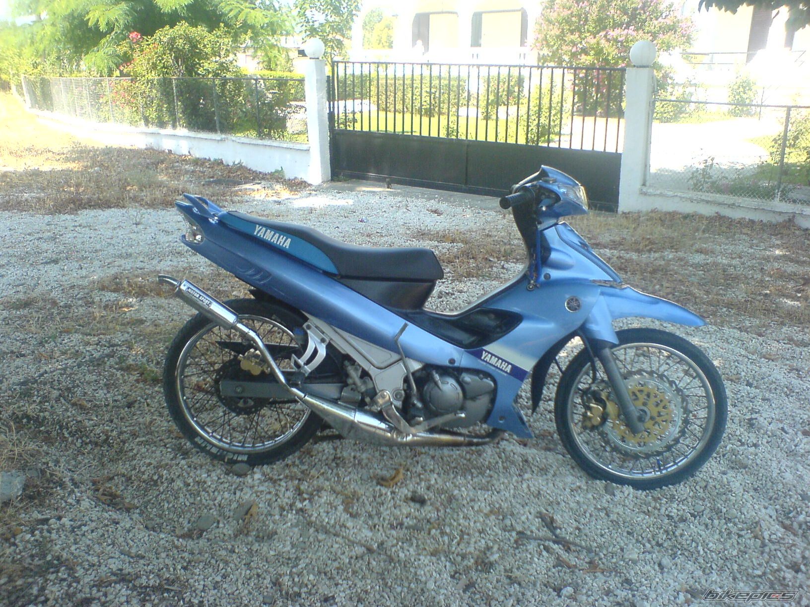 2008 YAMAHA 125 Z | Picture 1383876 motorcycle photo