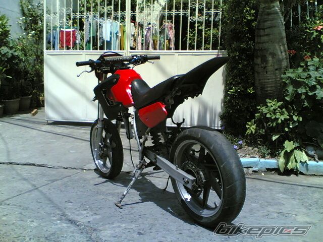 1996 HONDA XL 250 | Picture 1383995 motorcycle photo