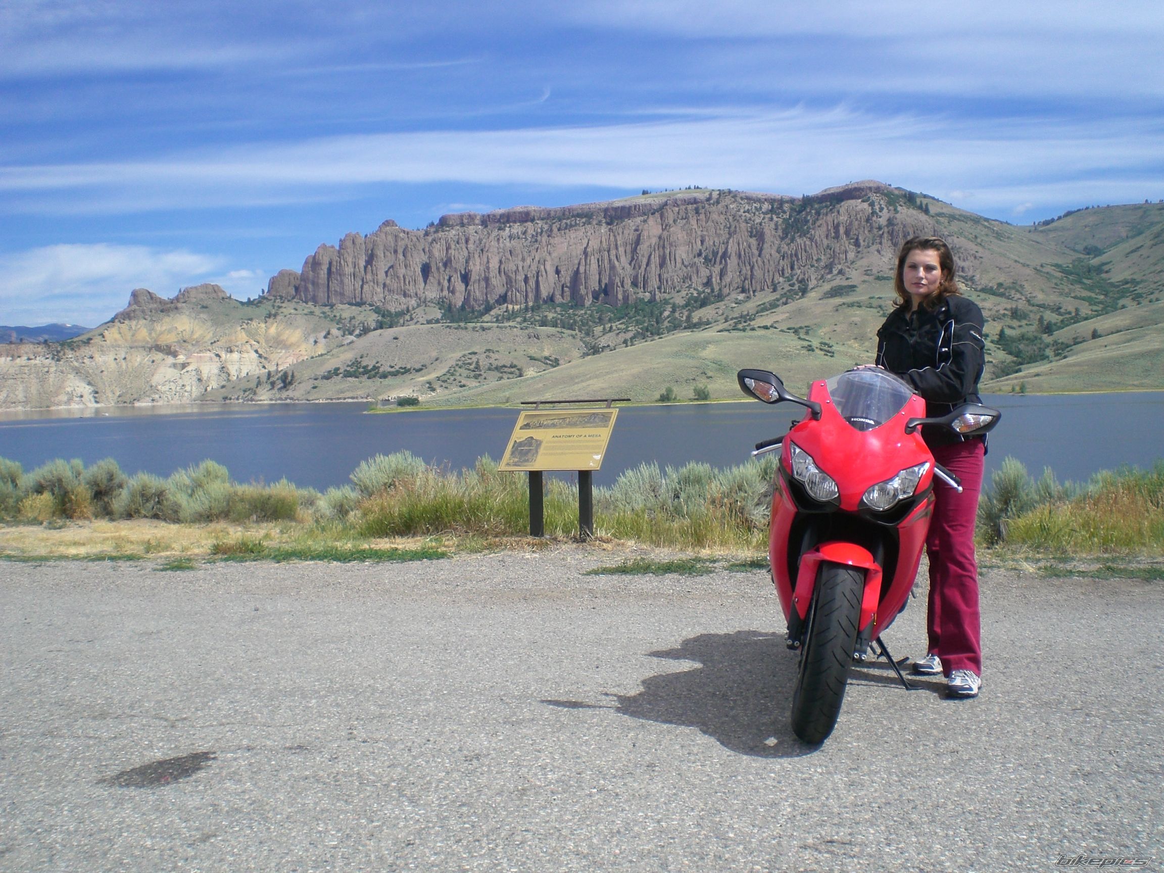 2008 HONDA CBR 1000  RR | Picture 1384038 motorcycle photo