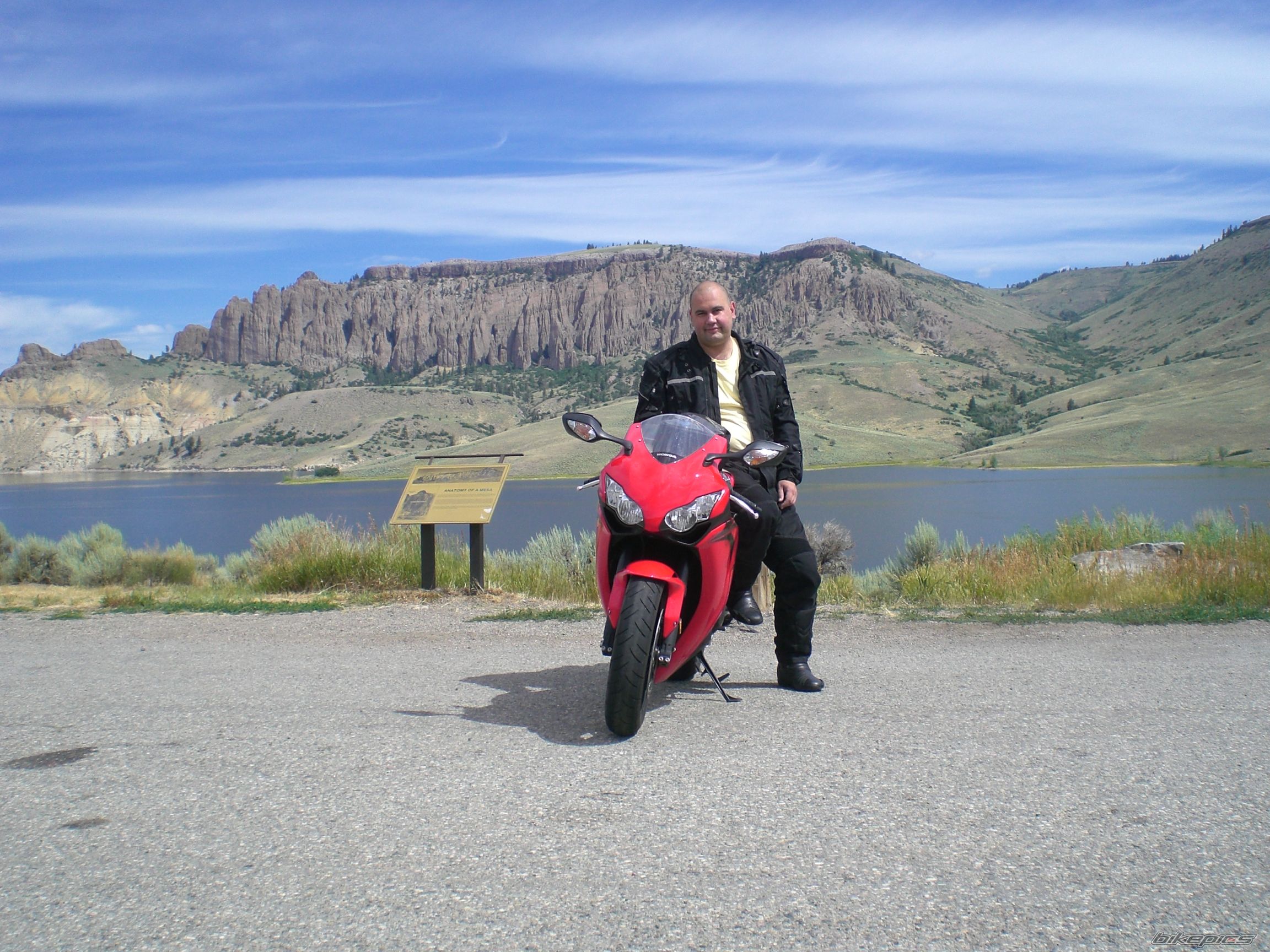2008 HONDA CBR 1000  RR | Picture 1384041 motorcycle photo