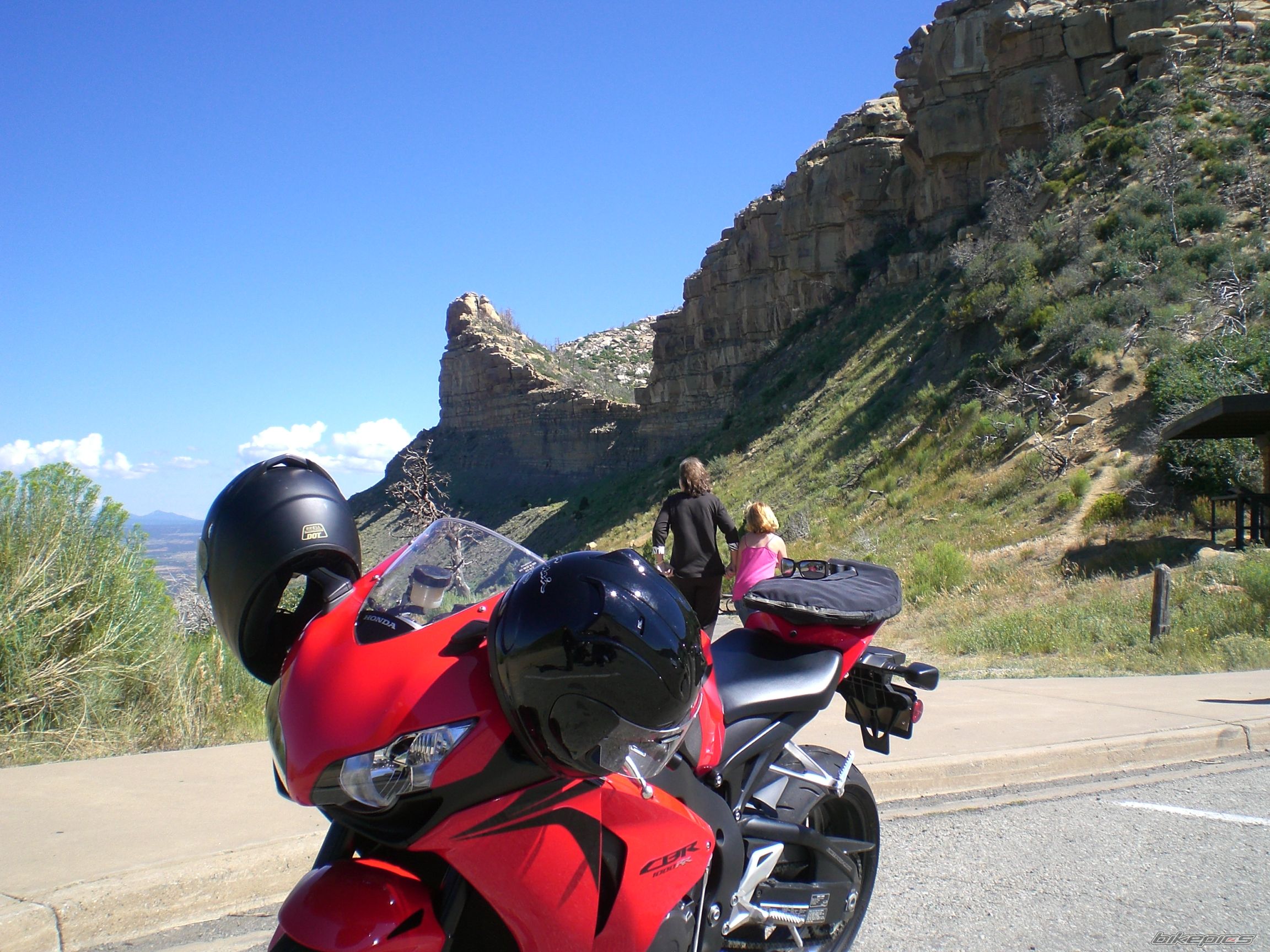 2008 HONDA CBR 1000  RR | Picture 1384053 motorcycle photo