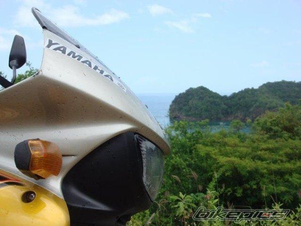 2002 YAMAHA TDM 850 | Picture 1384195 motorcycle photo