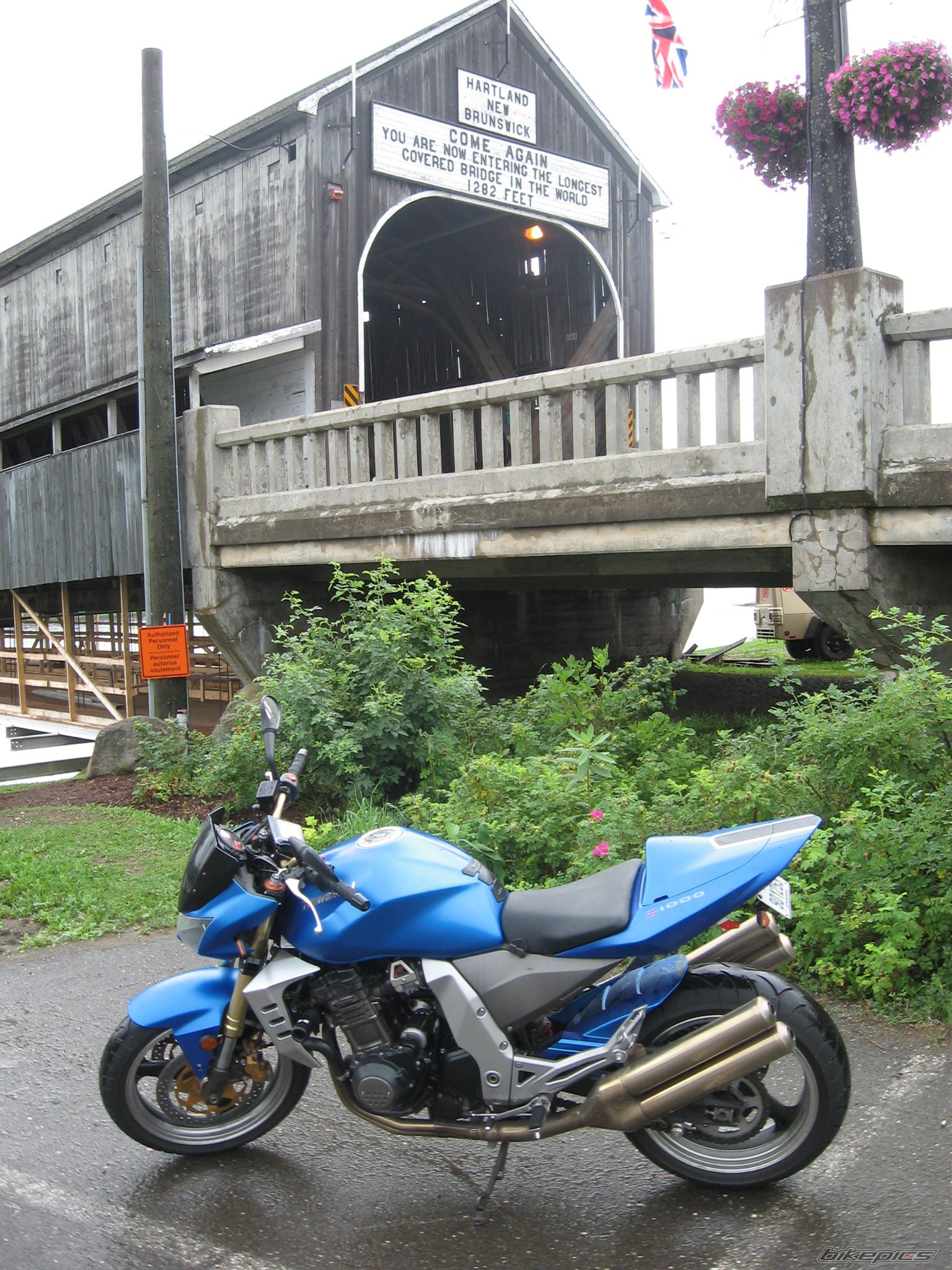 2006 KAWASAKI Z 1000 | Picture 1384455 motorcycle photo