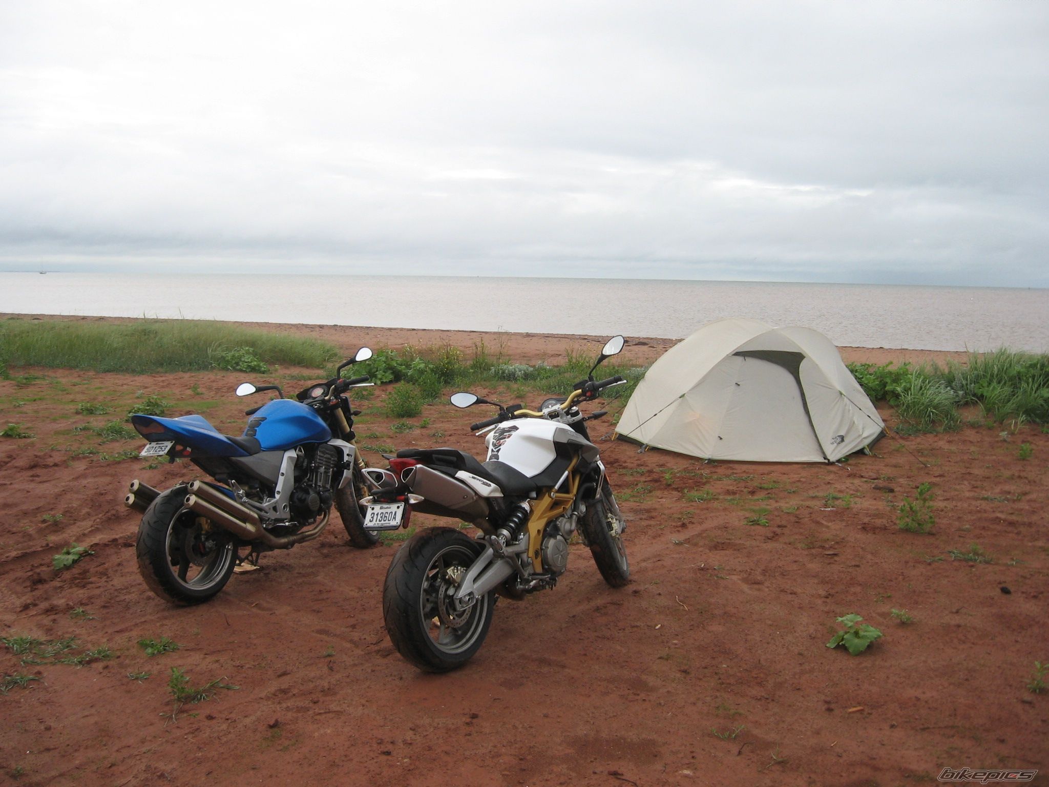 2006 KAWASAKI Z 1000 | Picture 1384456 motorcycle photo