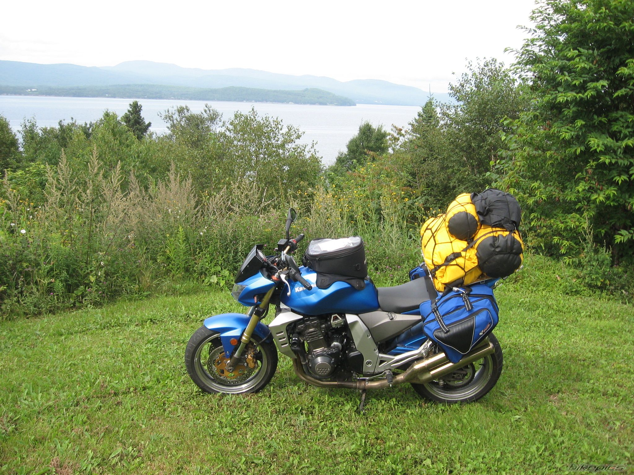 2006 KAWASAKI Z 1000 | Picture 1384462 motorcycle photo