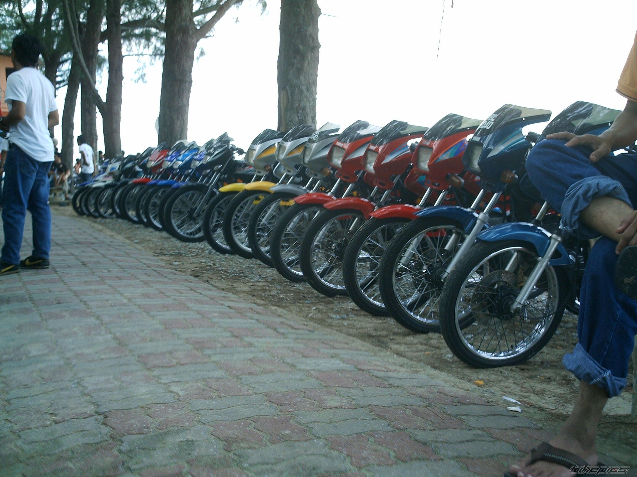 2000 YAMAHA RXZ 135 | Picture 1384664 motorcycle photo