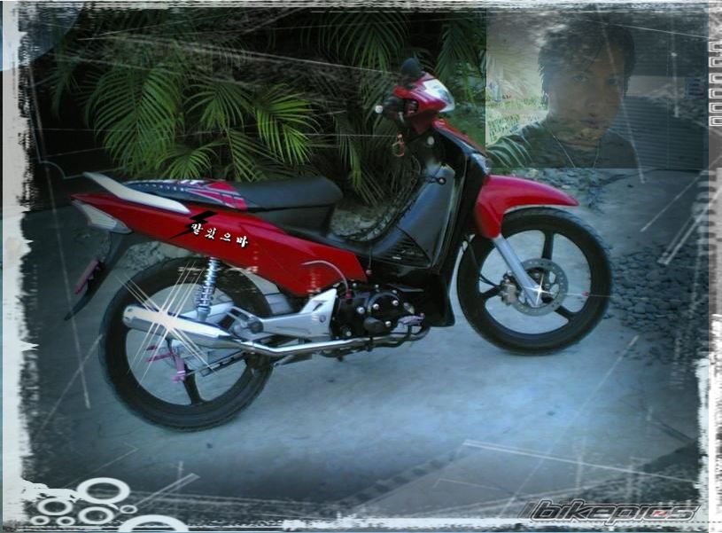 2008 HONDA WAVE 125 | Picture 1384920 motorcycle photo