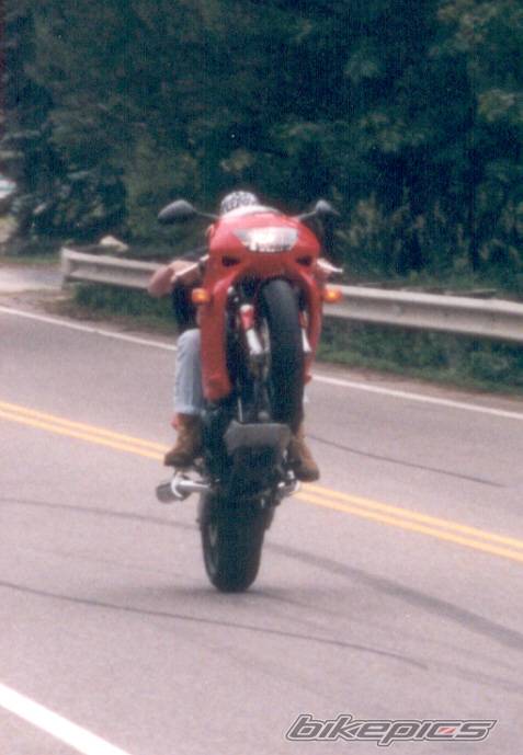 1998 HONDA VTR 1000 | Picture 1385 motorcycle photo