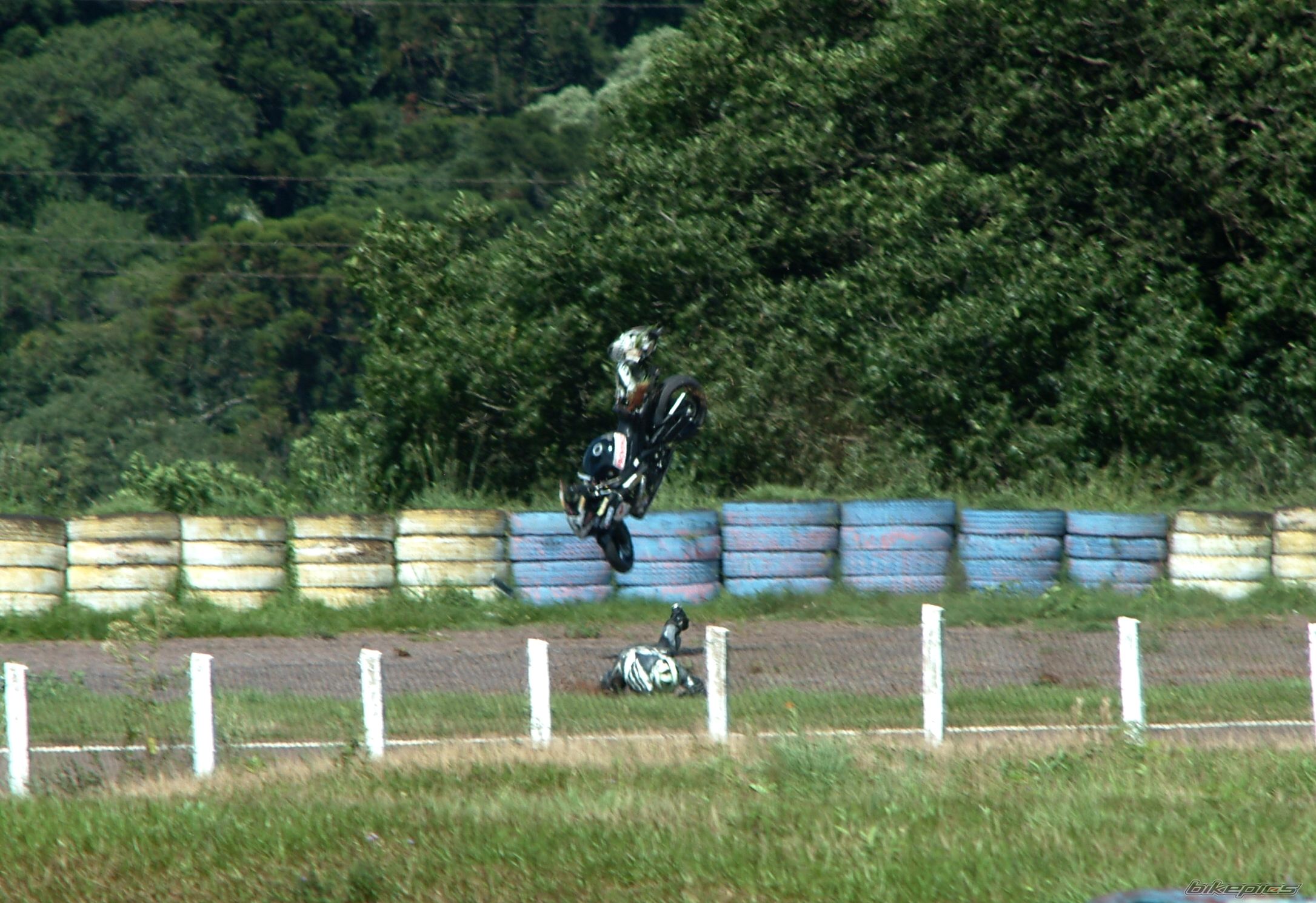 2008 SUZUKI GSX R 1000 | Picture 1385440 motorcycle photo