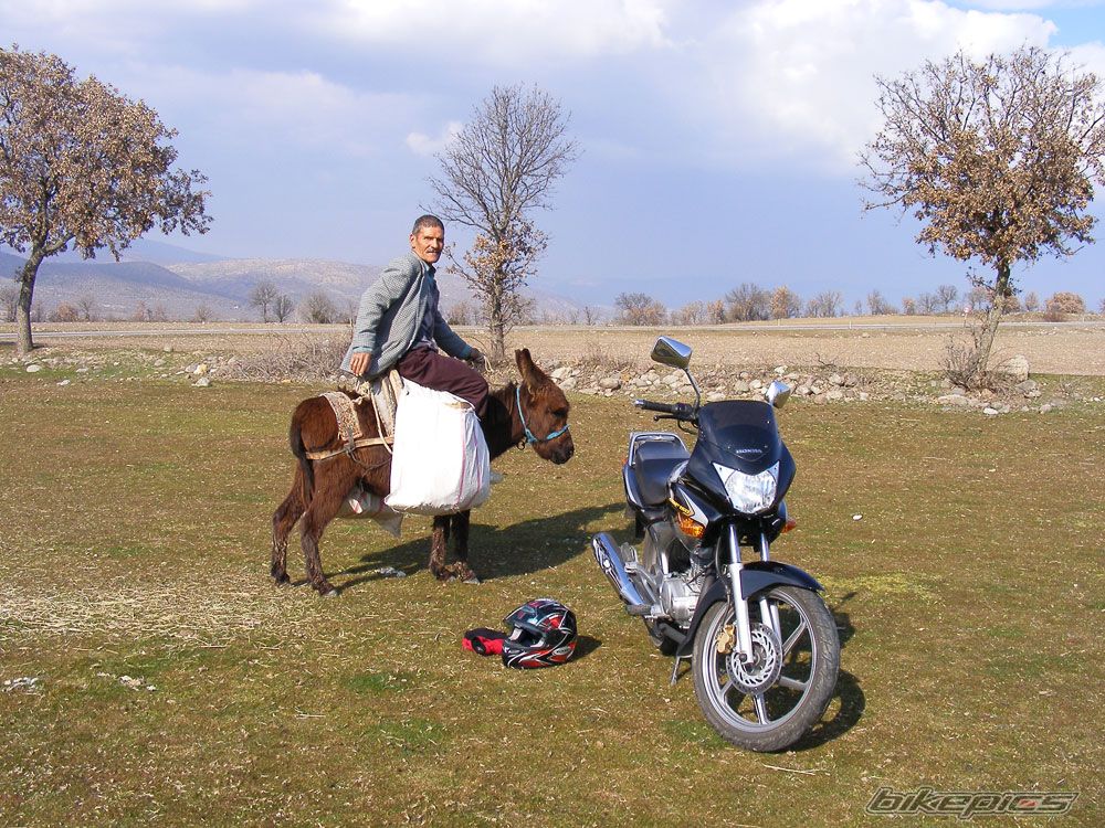 2006 HONDA CBF 150 | Picture 1385542 motorcycle photo
