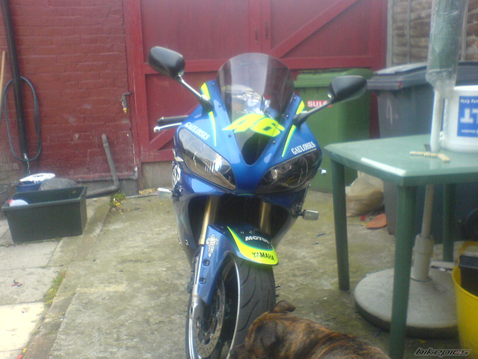 2001 YAMAHA YZF R1 | Picture 1386105 motorcycle photo