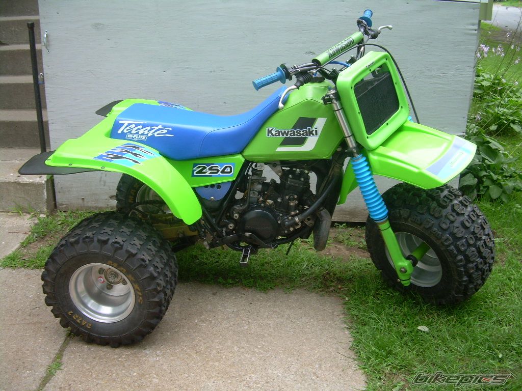 1984 KAWASAKI TECATE 3 | Picture 1386637 motorcycle photo