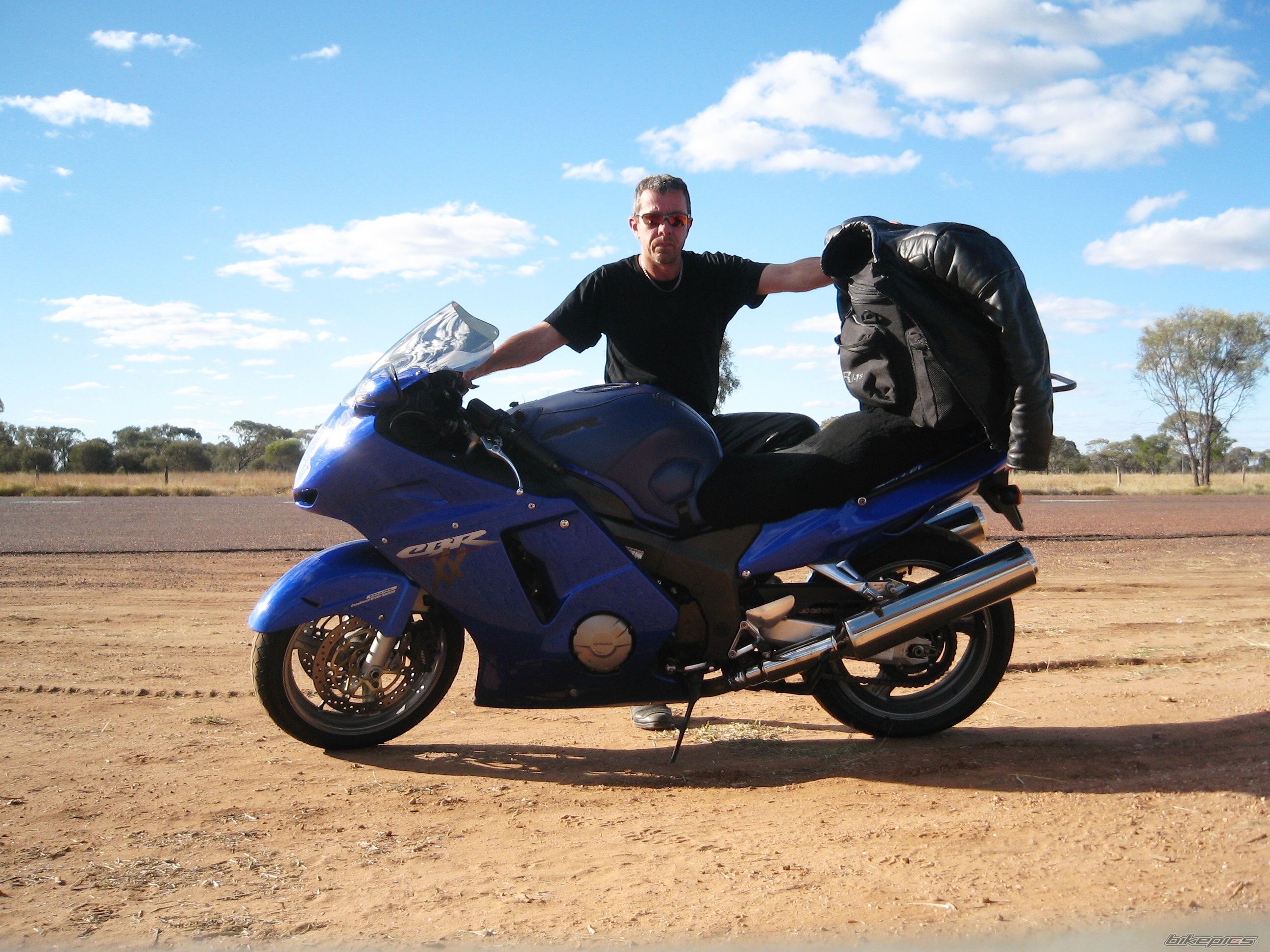 2003 HONDA CBR 1100 BLACKBIRD | Picture 1386819 motorcycle photo