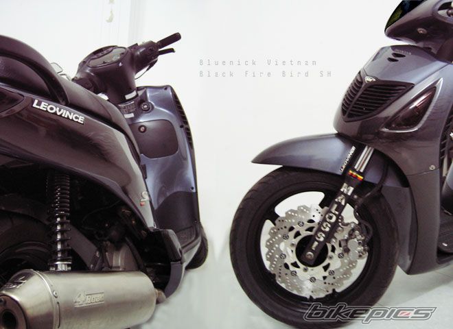 2005 HONDA SH 150 | Picture 1387515 motorcycle photo