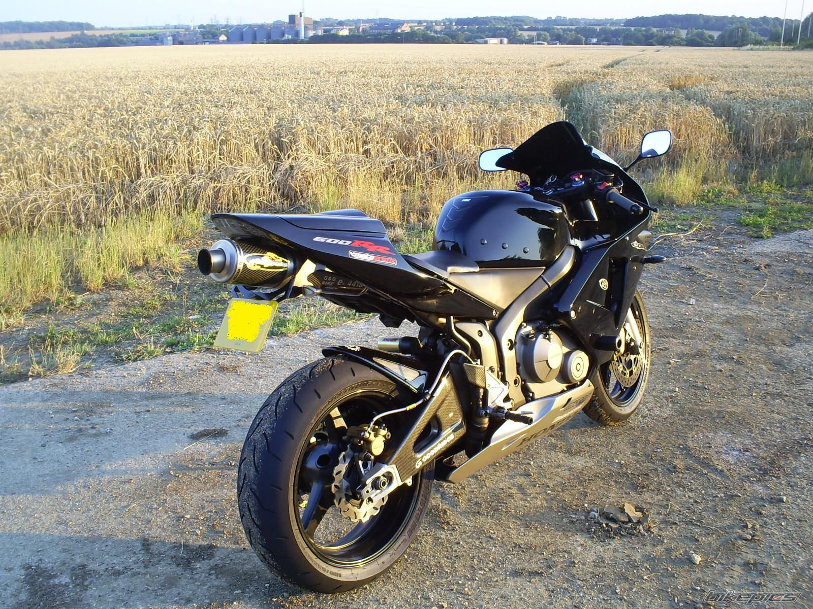2003 HONDA CBR 600 RR | Picture 1387663 motorcycle photo