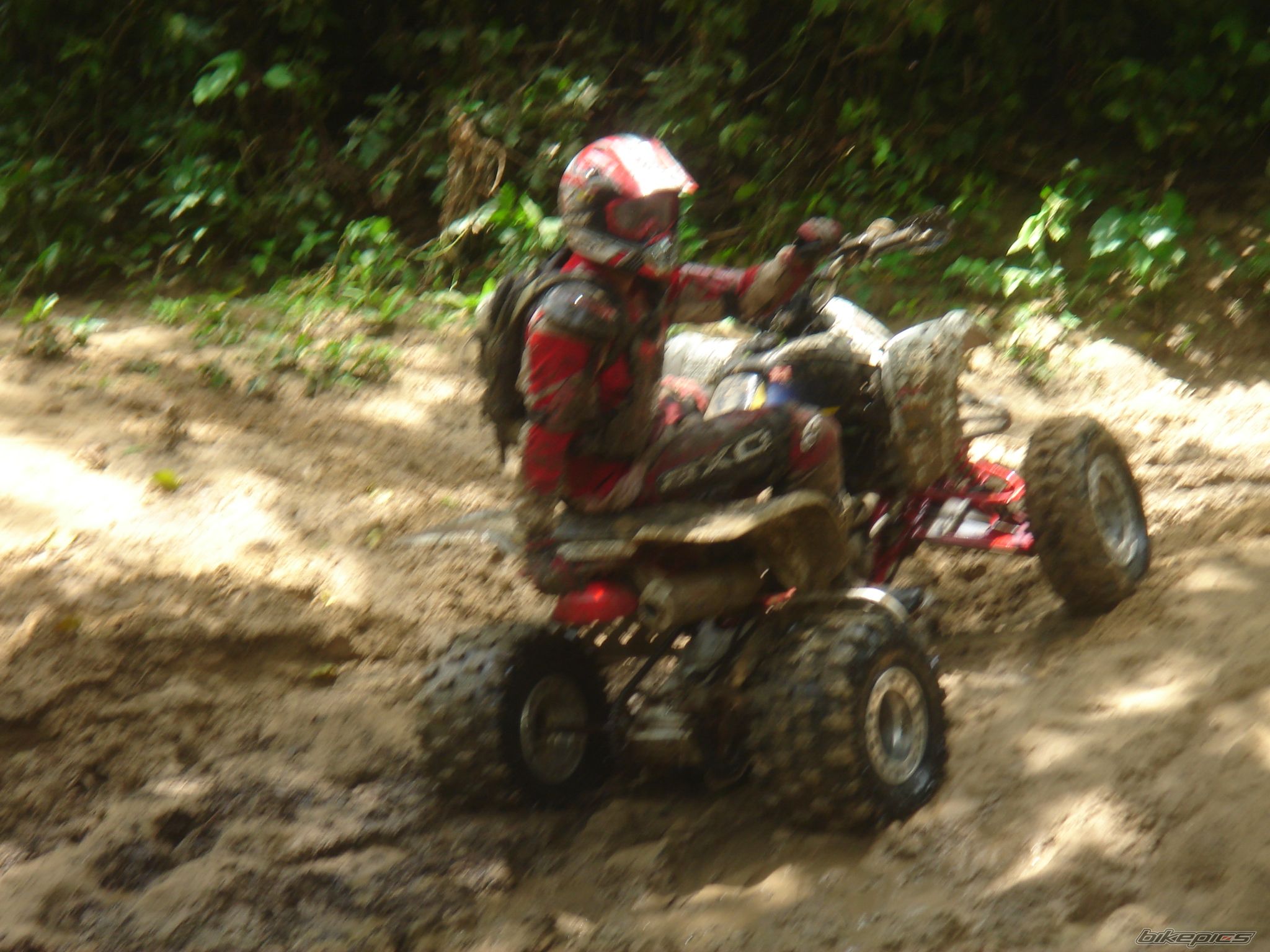2004 SUZUKI LTZ 400 | Picture 1388018 motorcycle photo