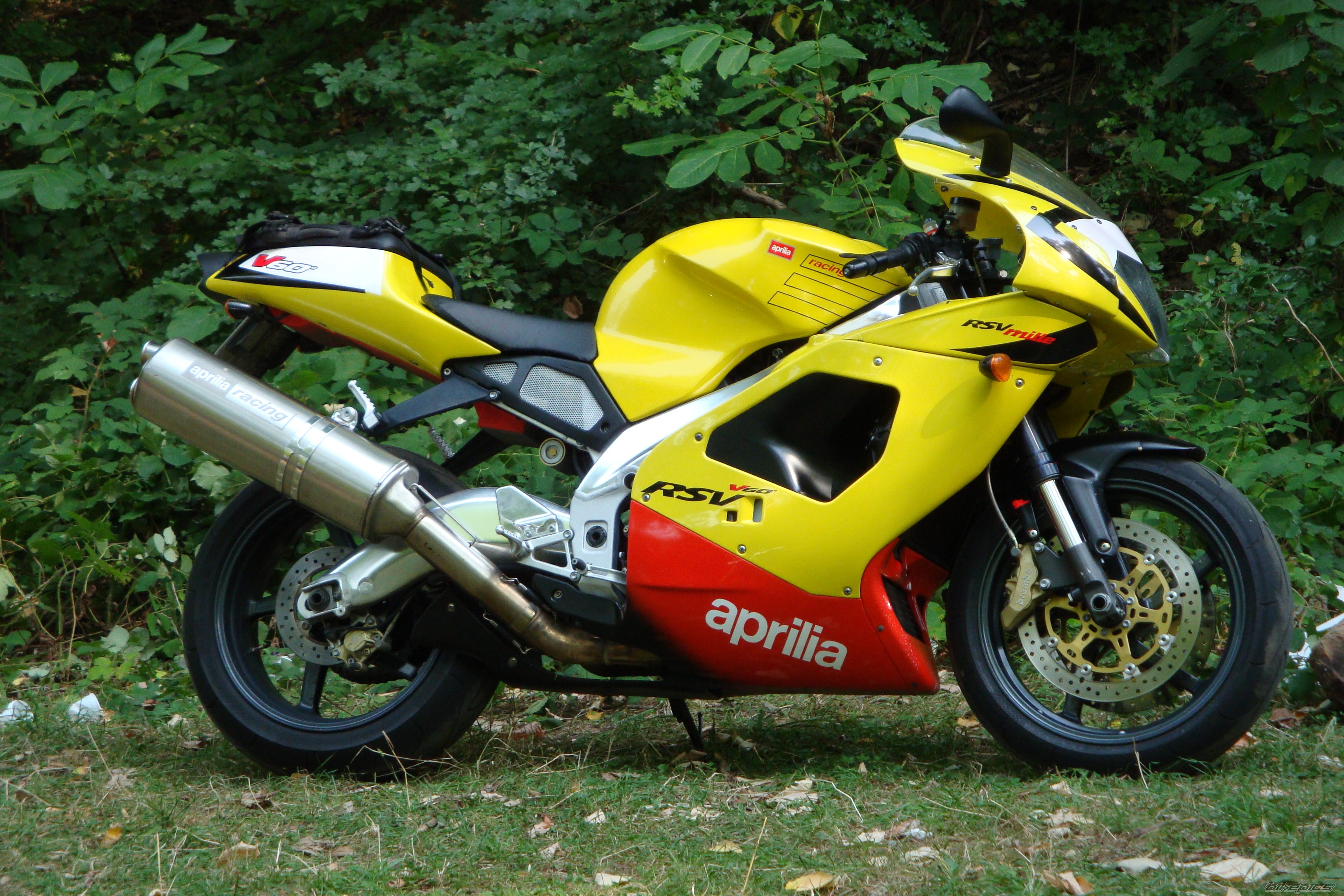 2001 APRILIA RSV 1000 MILLE | Picture 1388049 motorcycle photo