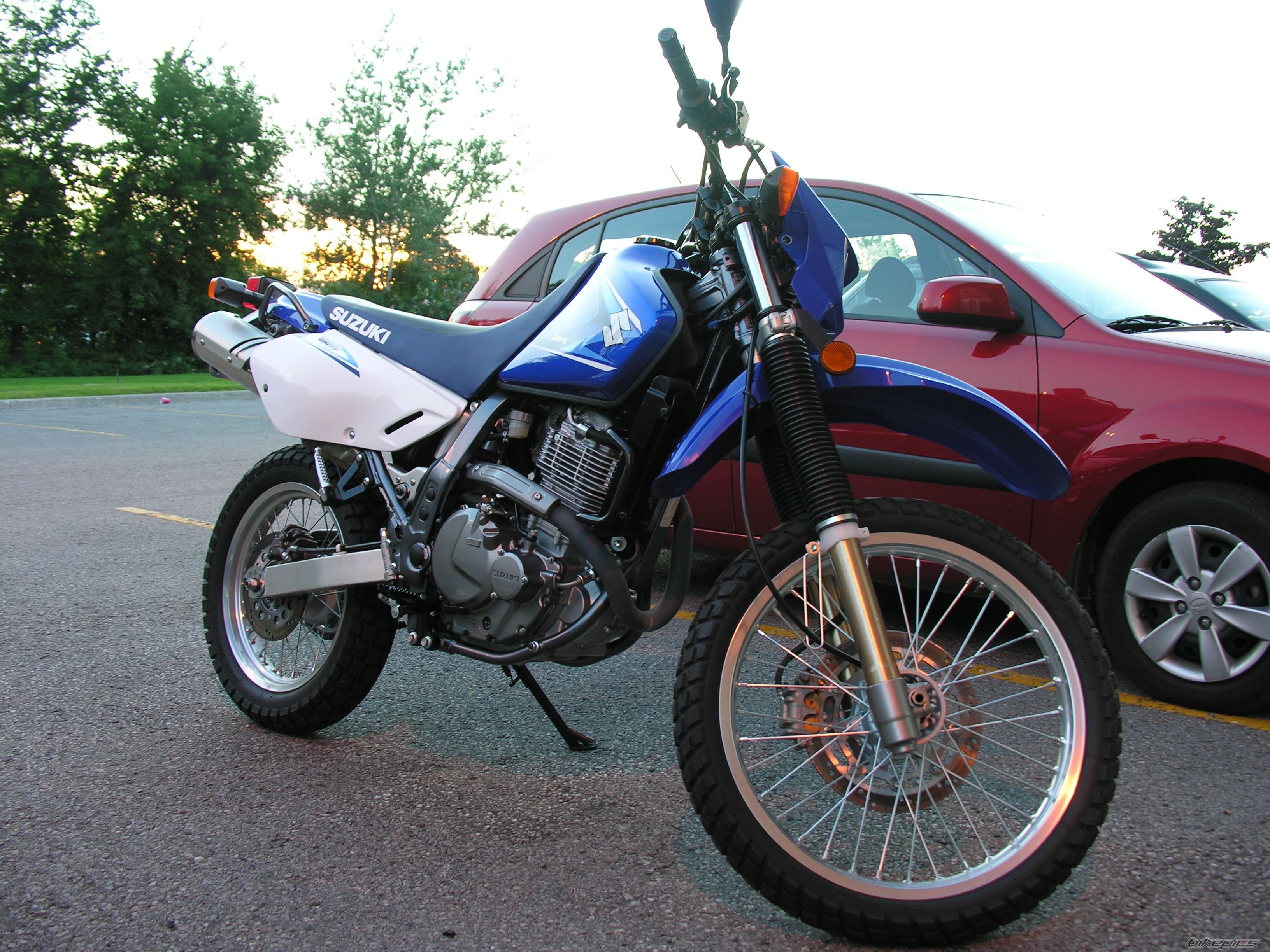 2008 SUZUKI DR 650 | Picture 1388478 motorcycle photo