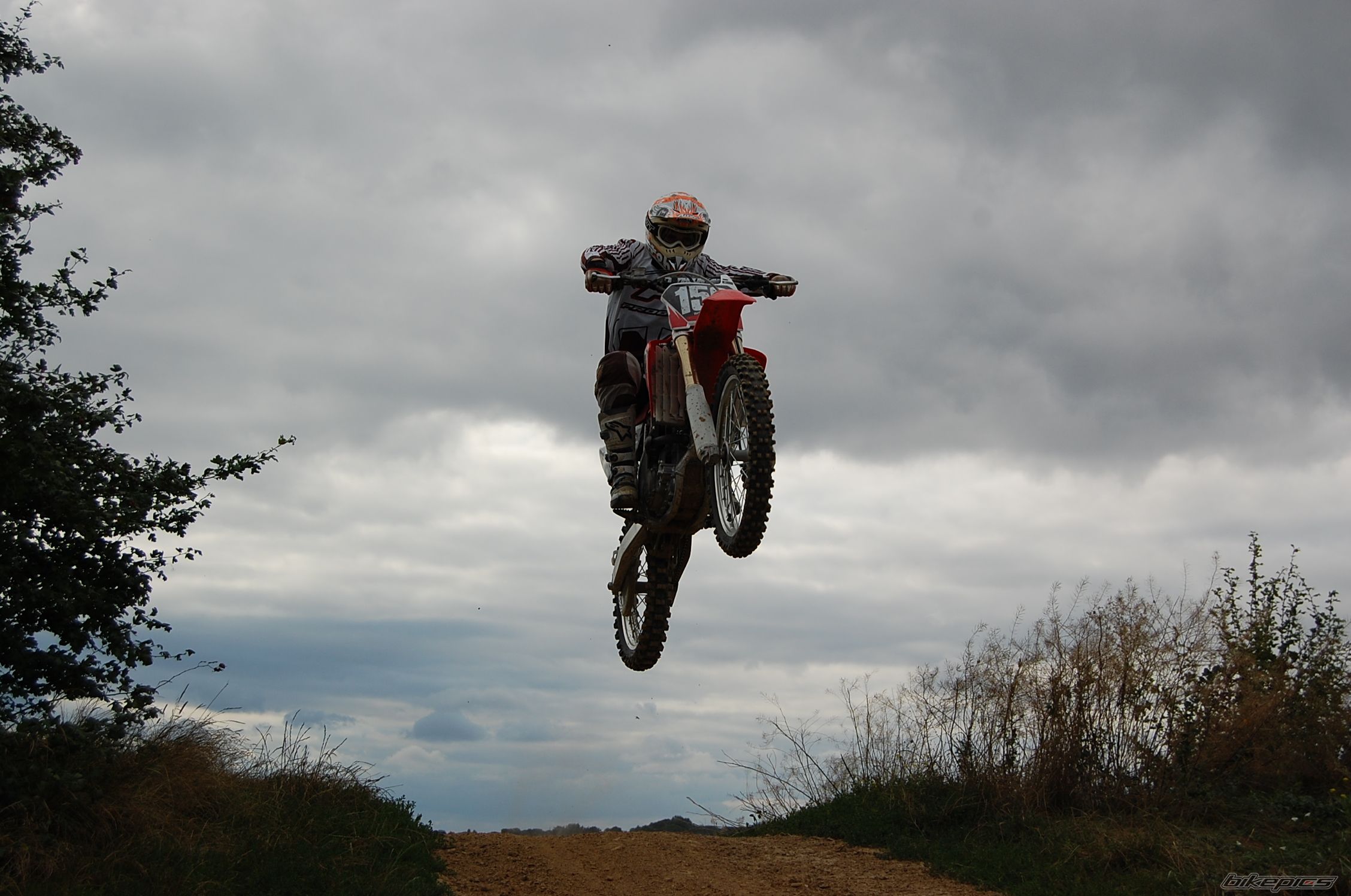2008 HONDA CRF 250 | Picture 1388938 motorcycle photo