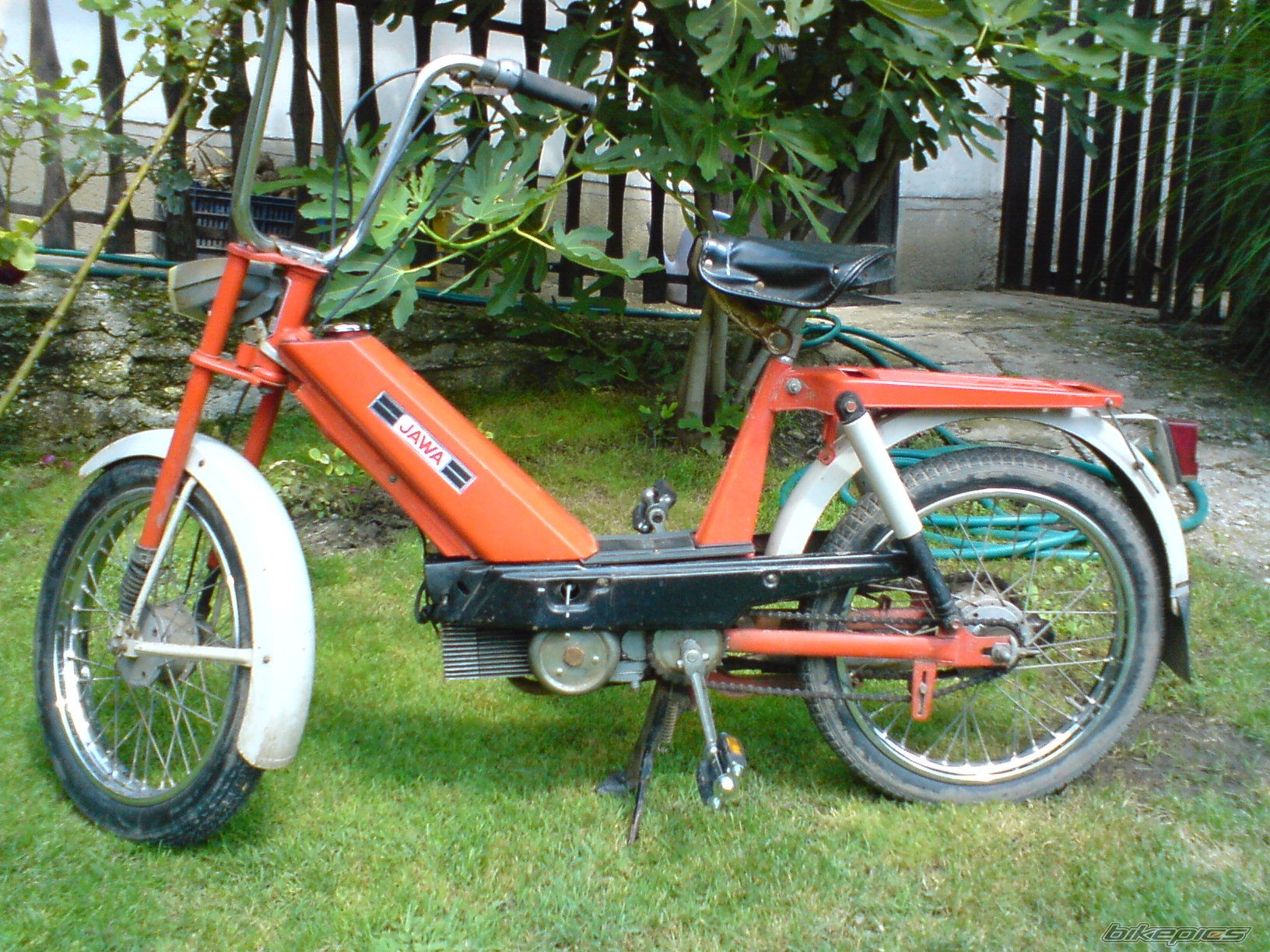 1982 JAWA BABETTA 207 | Picture 1388984 motorcycle photo