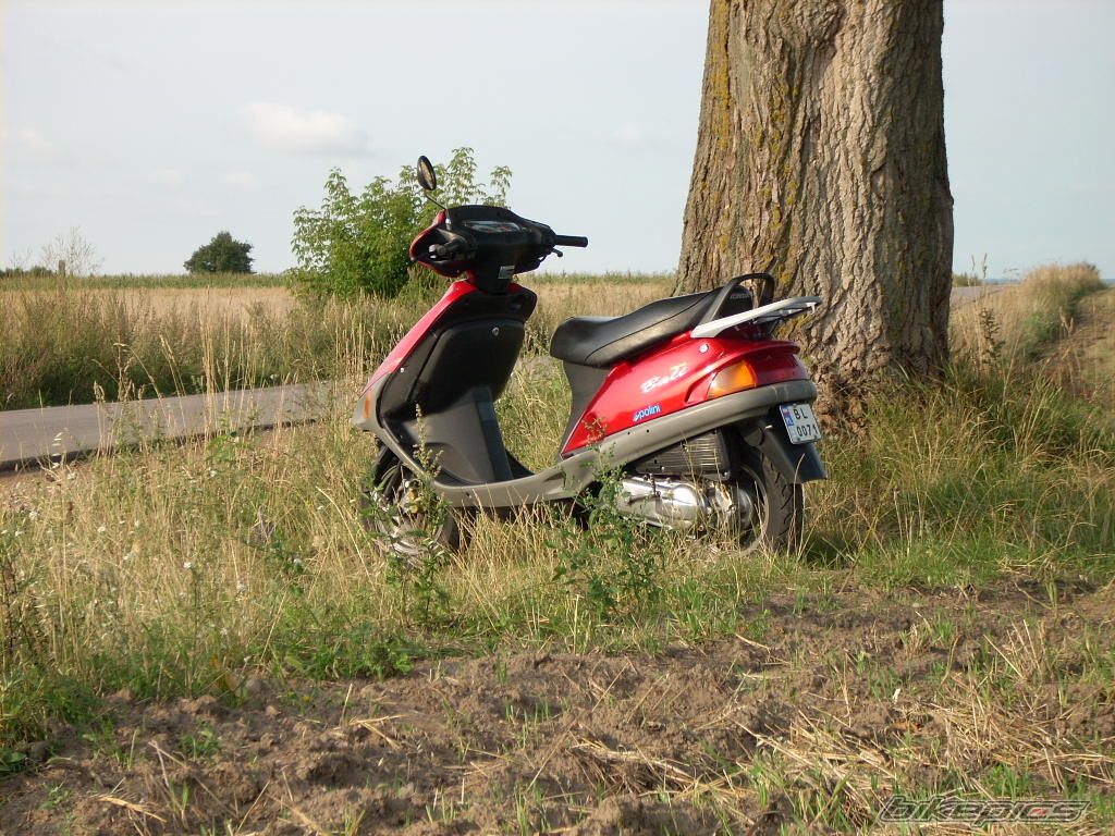 1996 HONDA BALI 50 | Picture 1389039 motorcycle photo