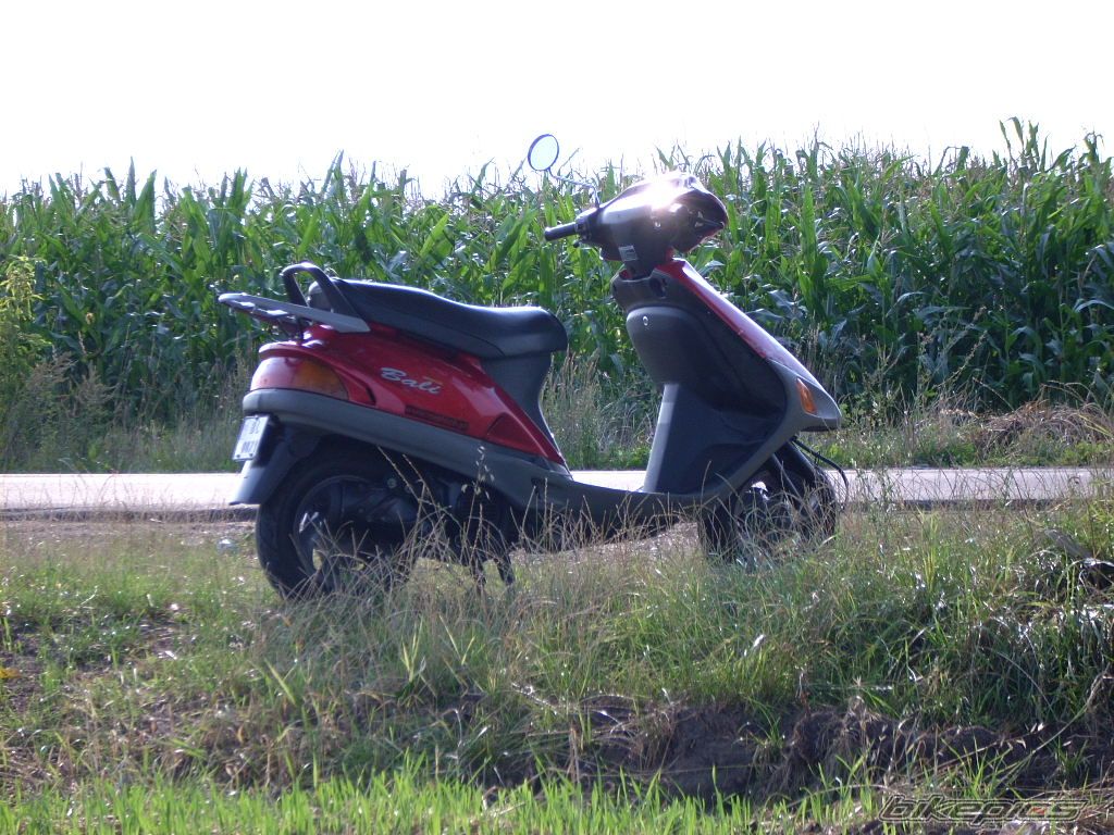 1996 HONDA BALI 50 | Picture 1389042 motorcycle photo