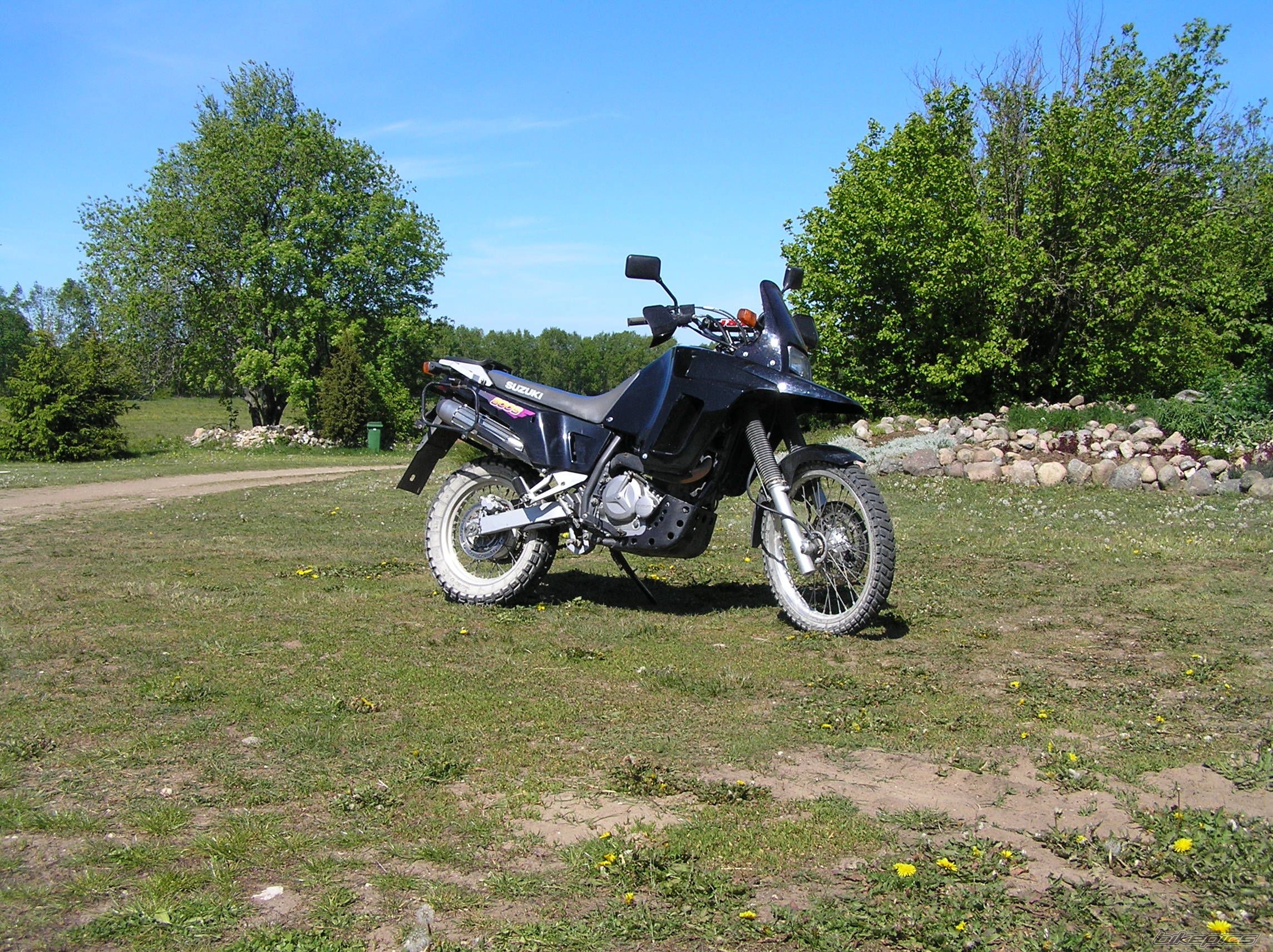 1997 SUZUKI DR 800 | Picture 1389279 motorcycle photo