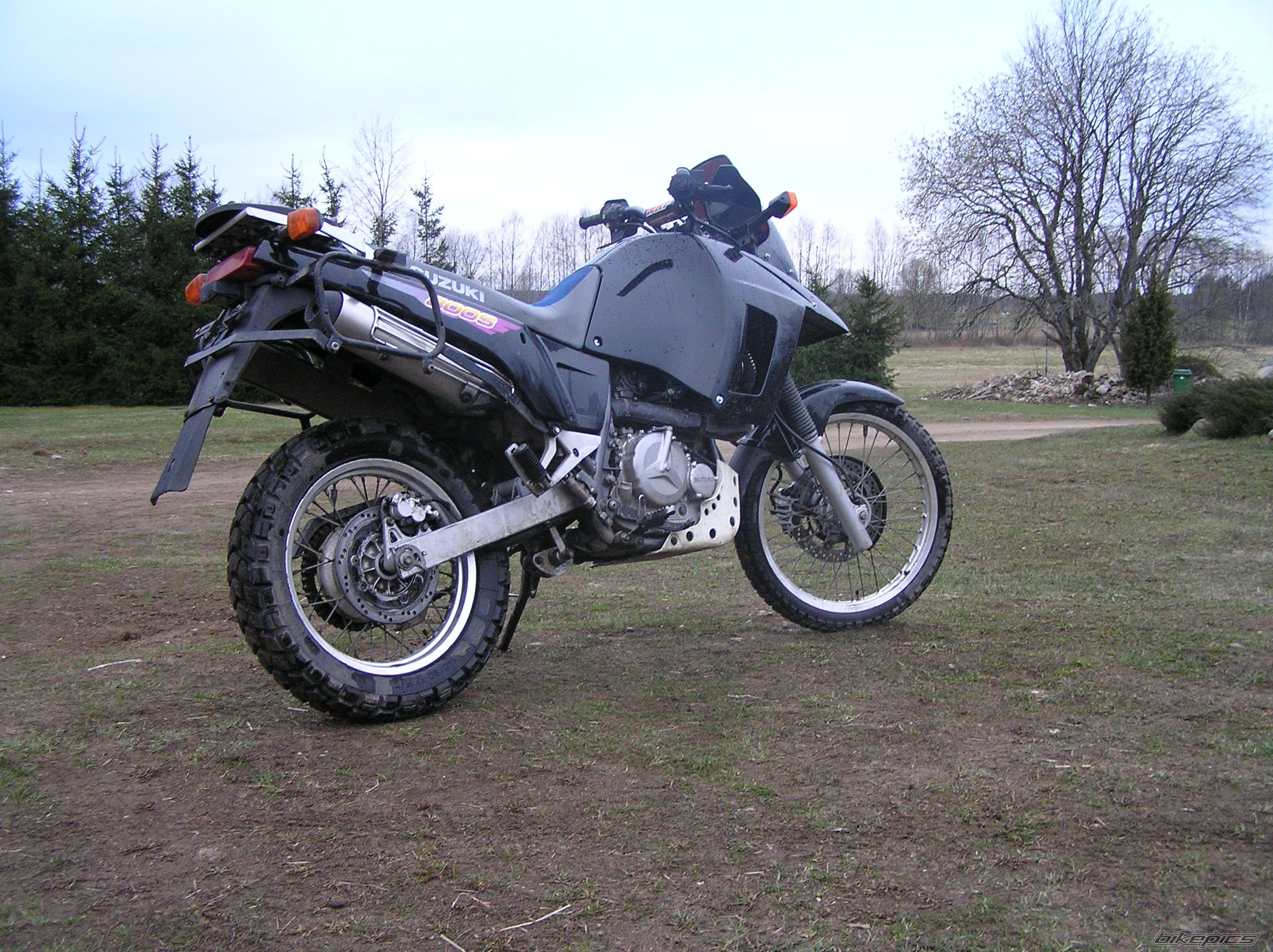 1997 SUZUKI DR 800 | Picture 1389285 motorcycle photo